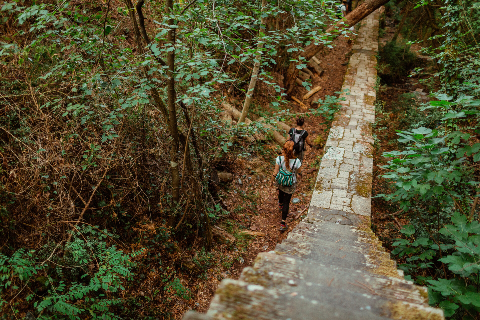 The path of the Leopoldine Aqueduct