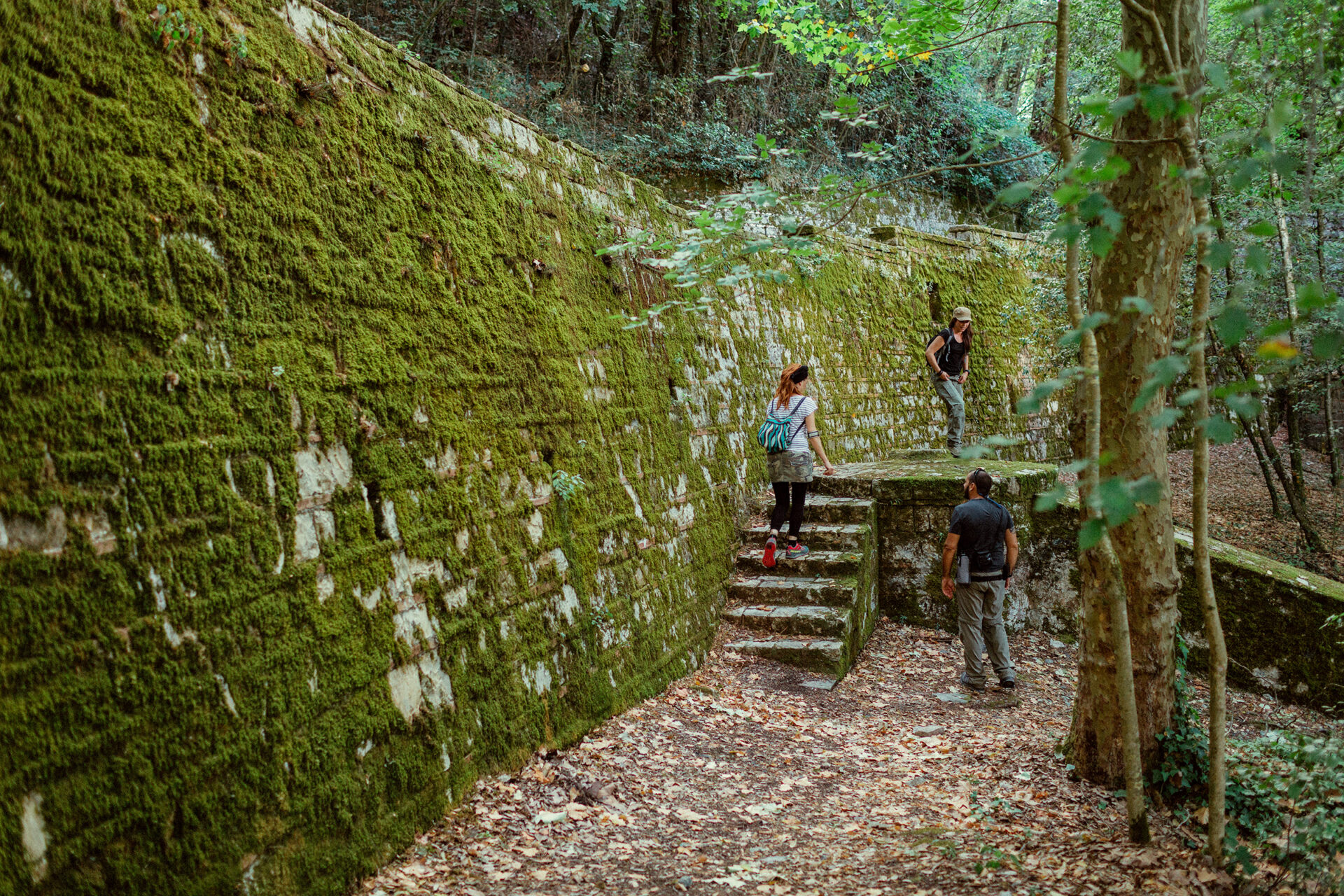 The path of the Leopoldine Aqueduct