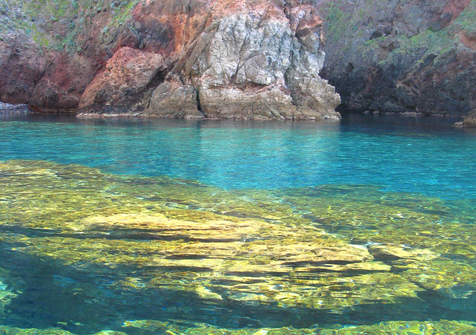 Beaches and coves of Capraia