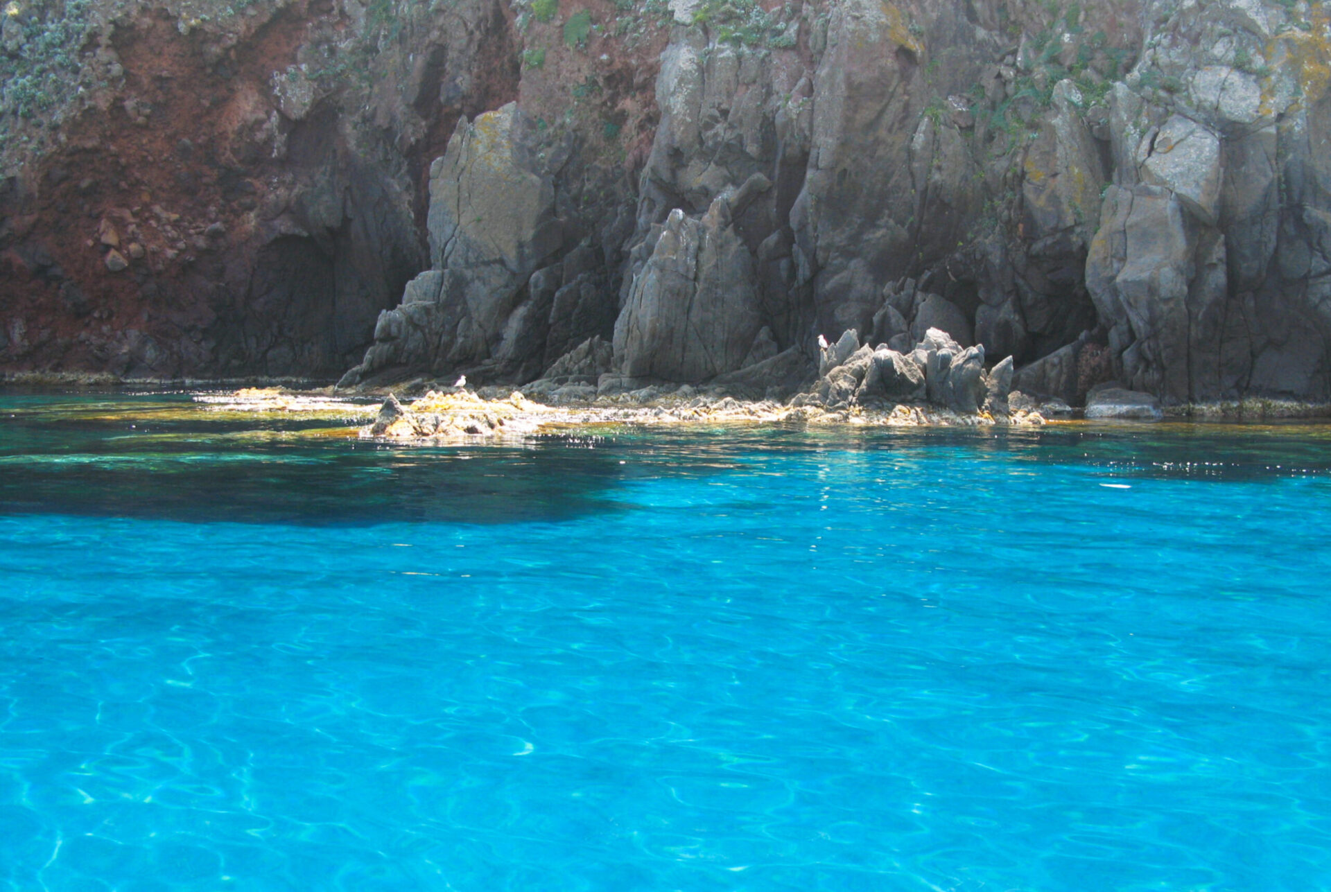 Beaches and coves of Capraia