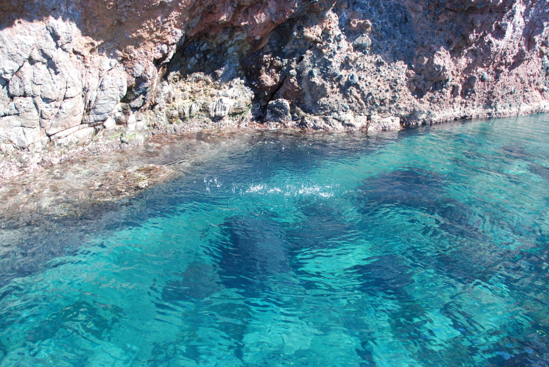 Beaches and coves of Capraia