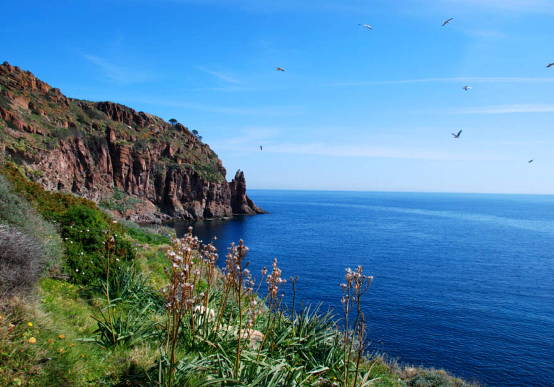 Beaches and coves of Capraia
