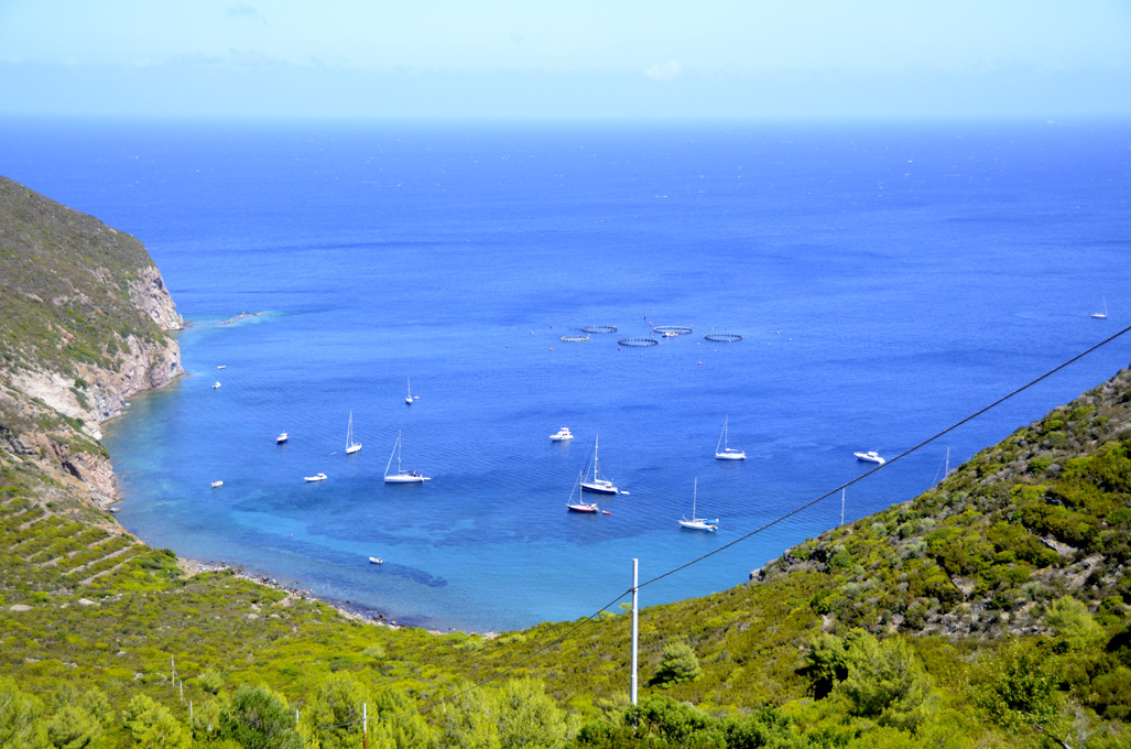 Beaches and coves of Capraia