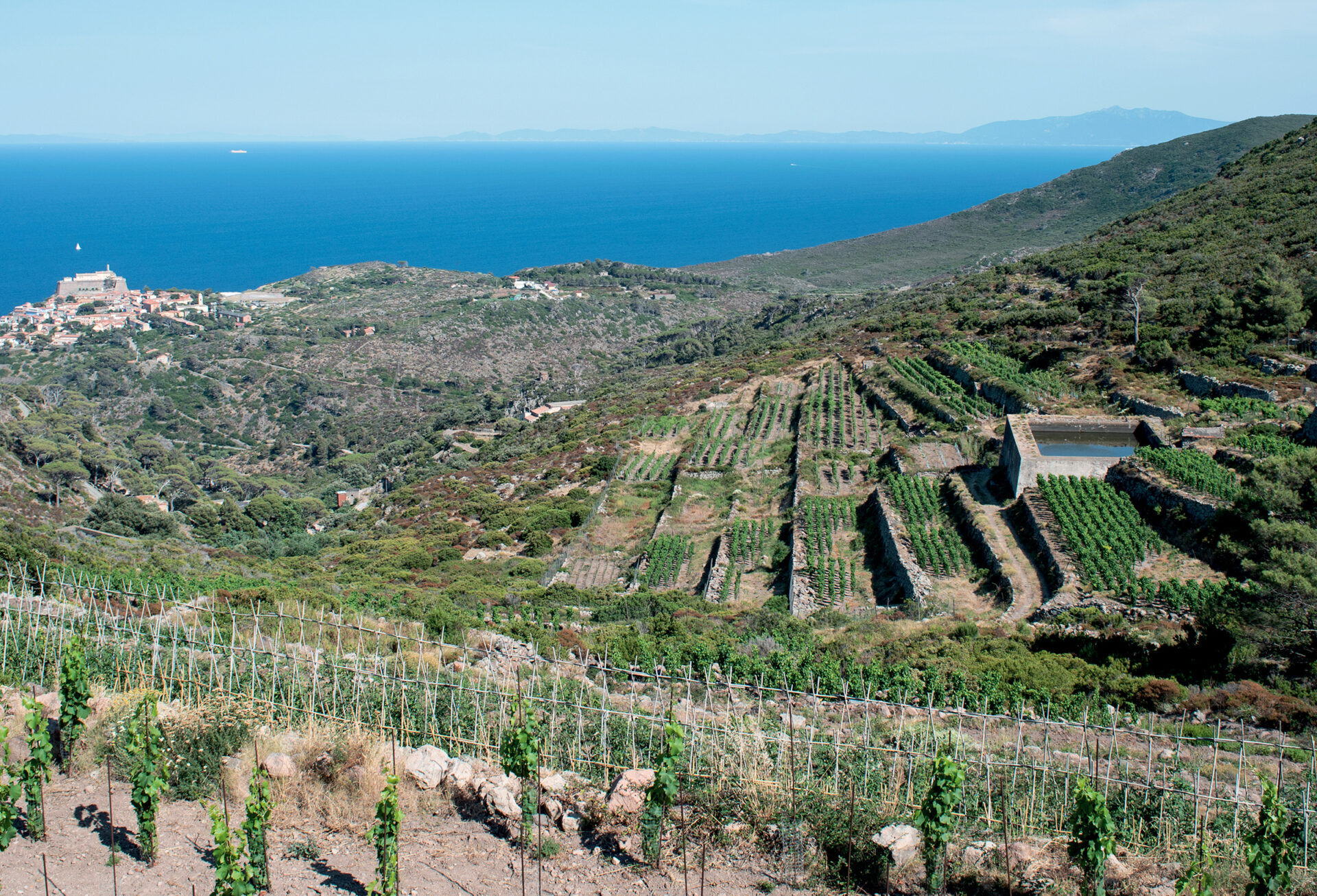 L’entroterra di Capraia