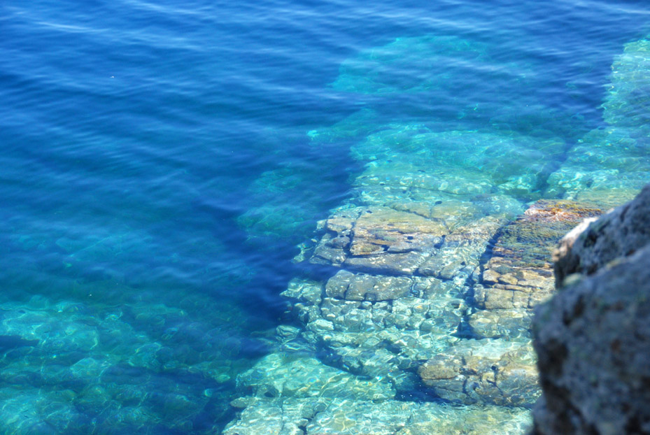Beaches and coves of Capraia