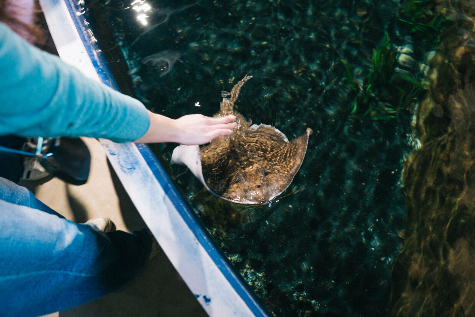 Immerse yourself in Livorno’s Aquarium