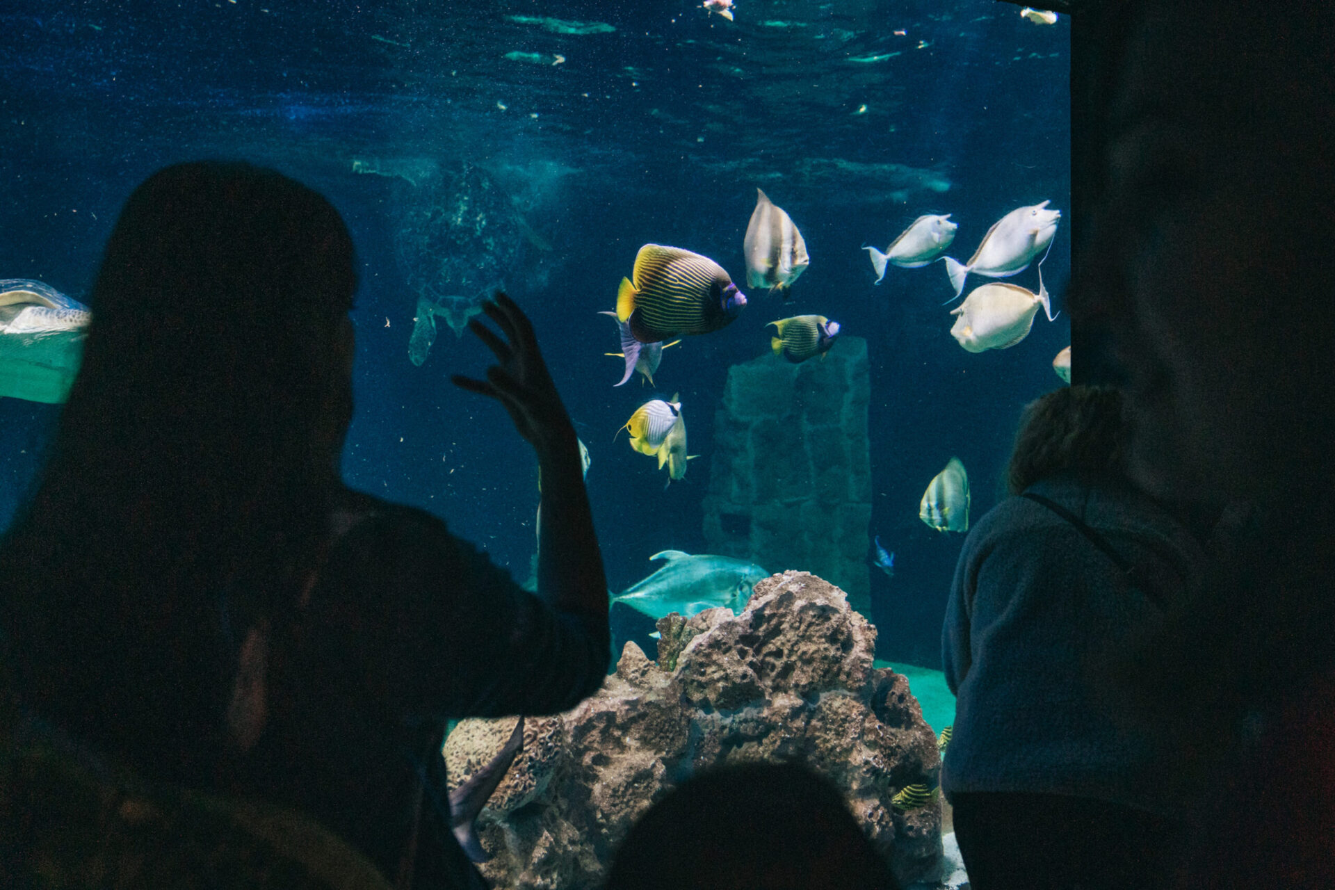 Immerse yourself in Livorno’s Aquarium