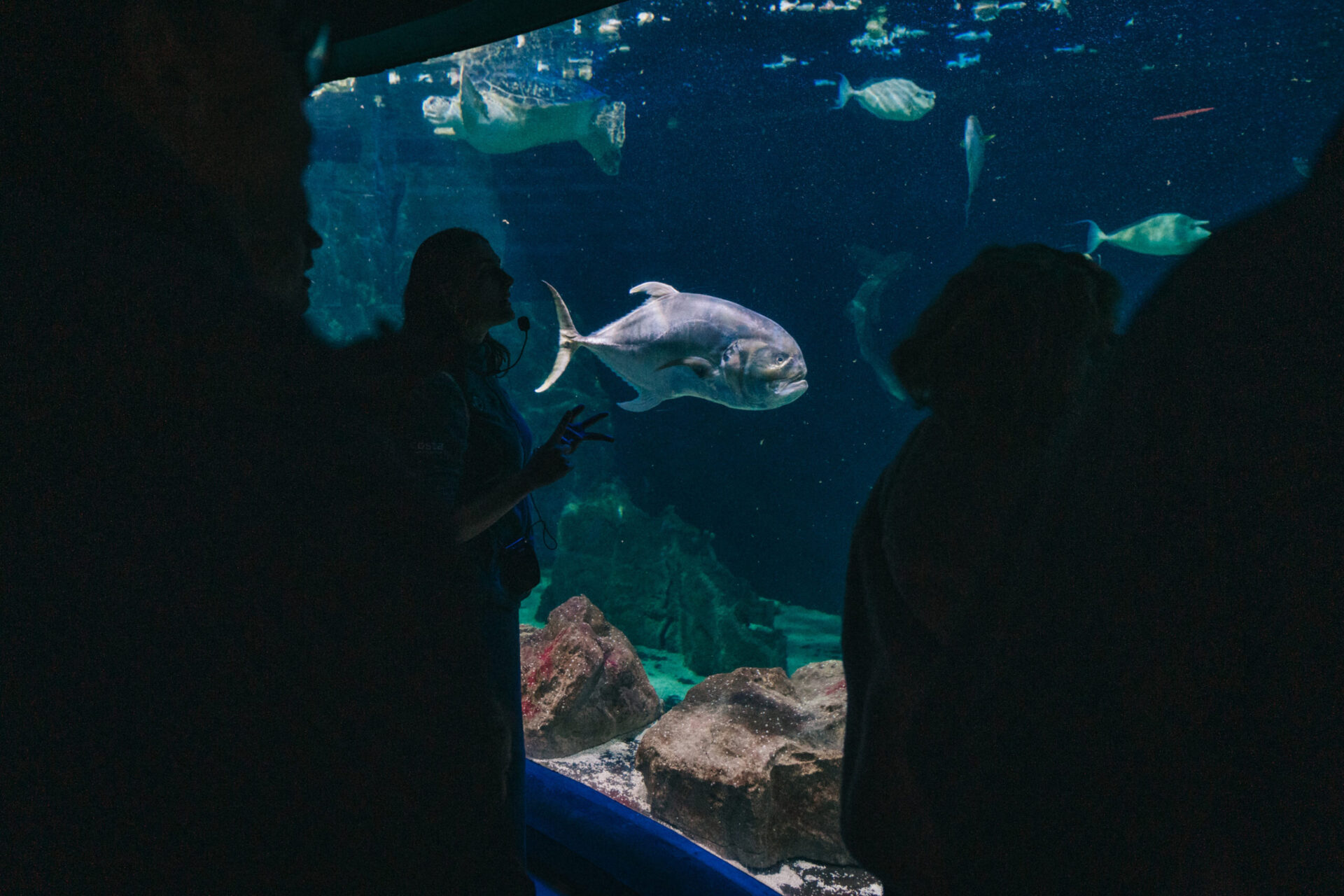 Immerse yourself in Livorno’s Aquarium