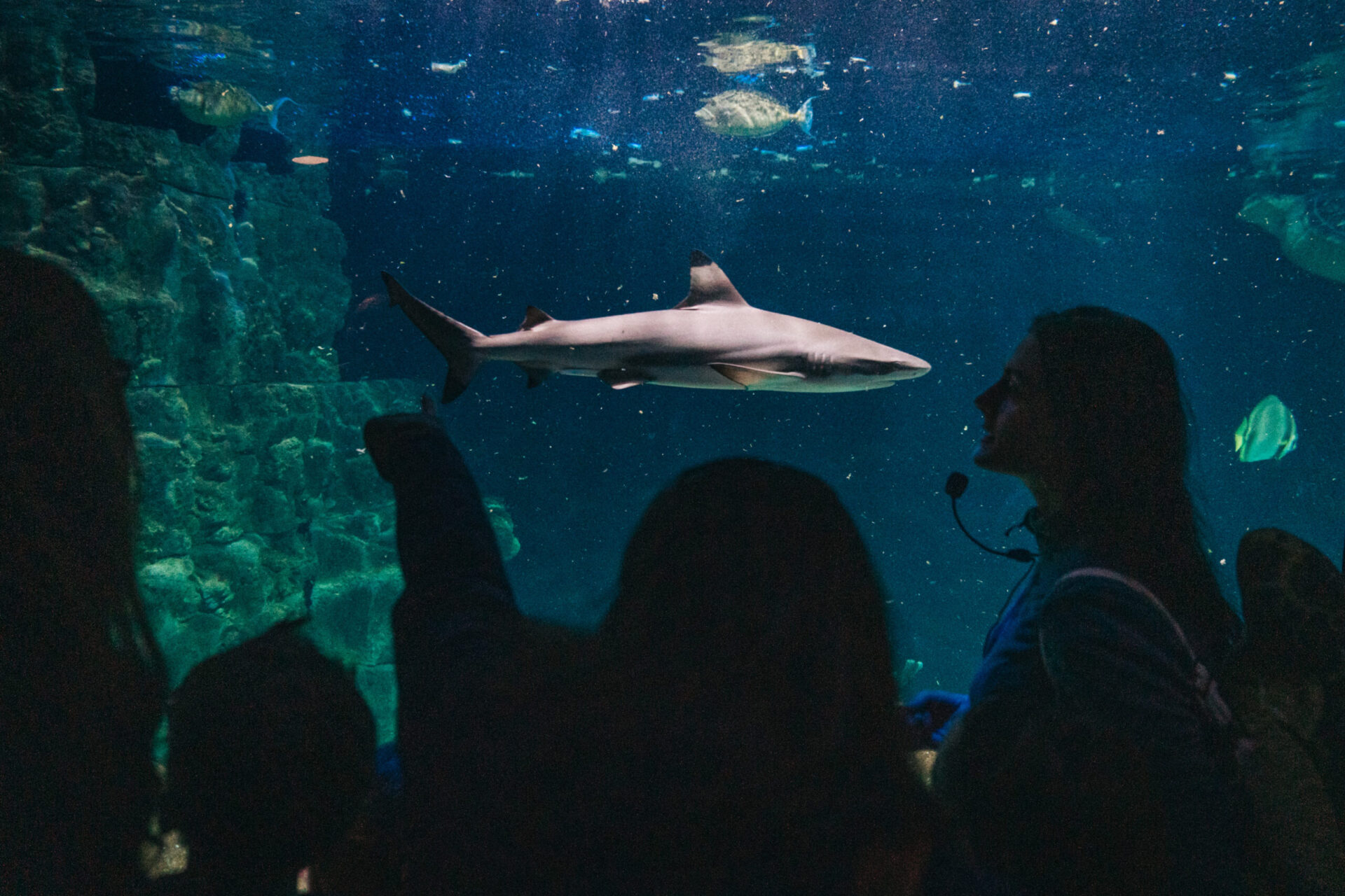 Immerse yourself in Livorno’s Aquarium