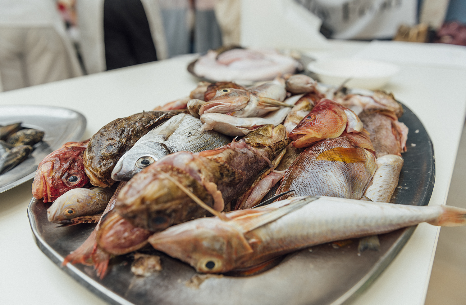 The Cacciucco, Livorno’s prime delicacy