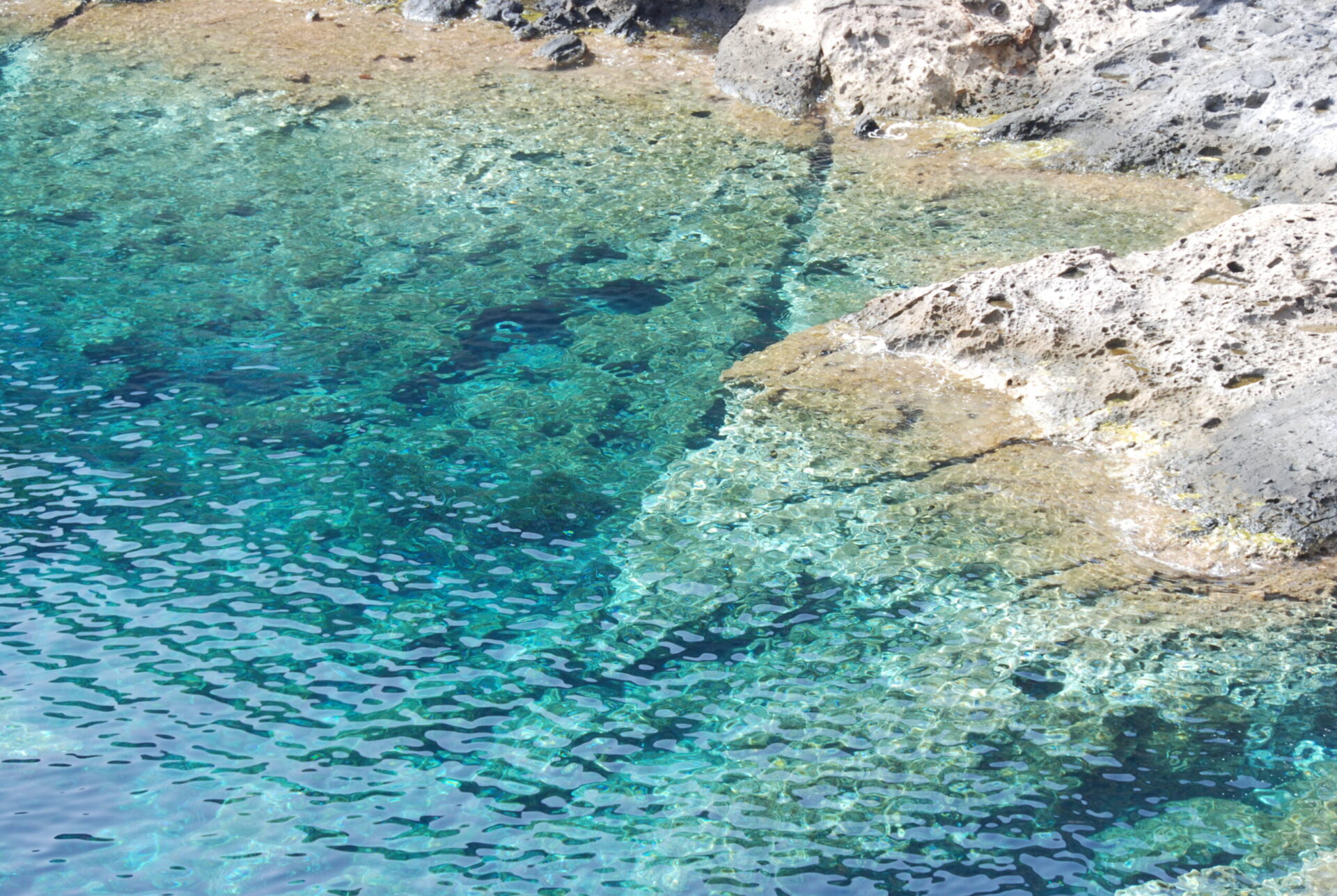 Beaches and coves of Capraia