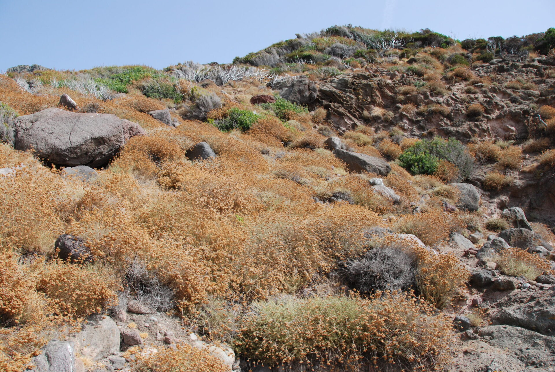 Beaches and coves of Capraia