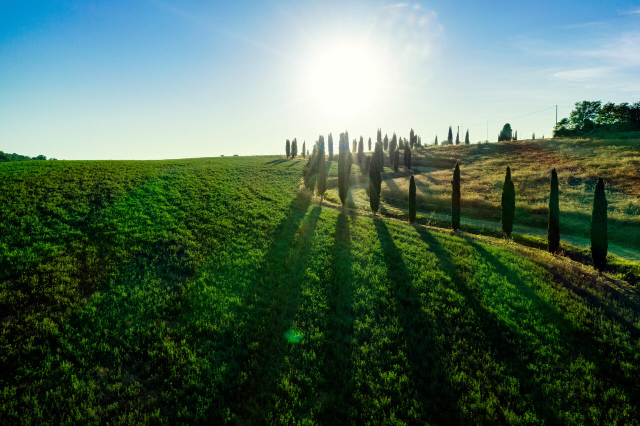 Nugola e i borghi delle colline livornesi