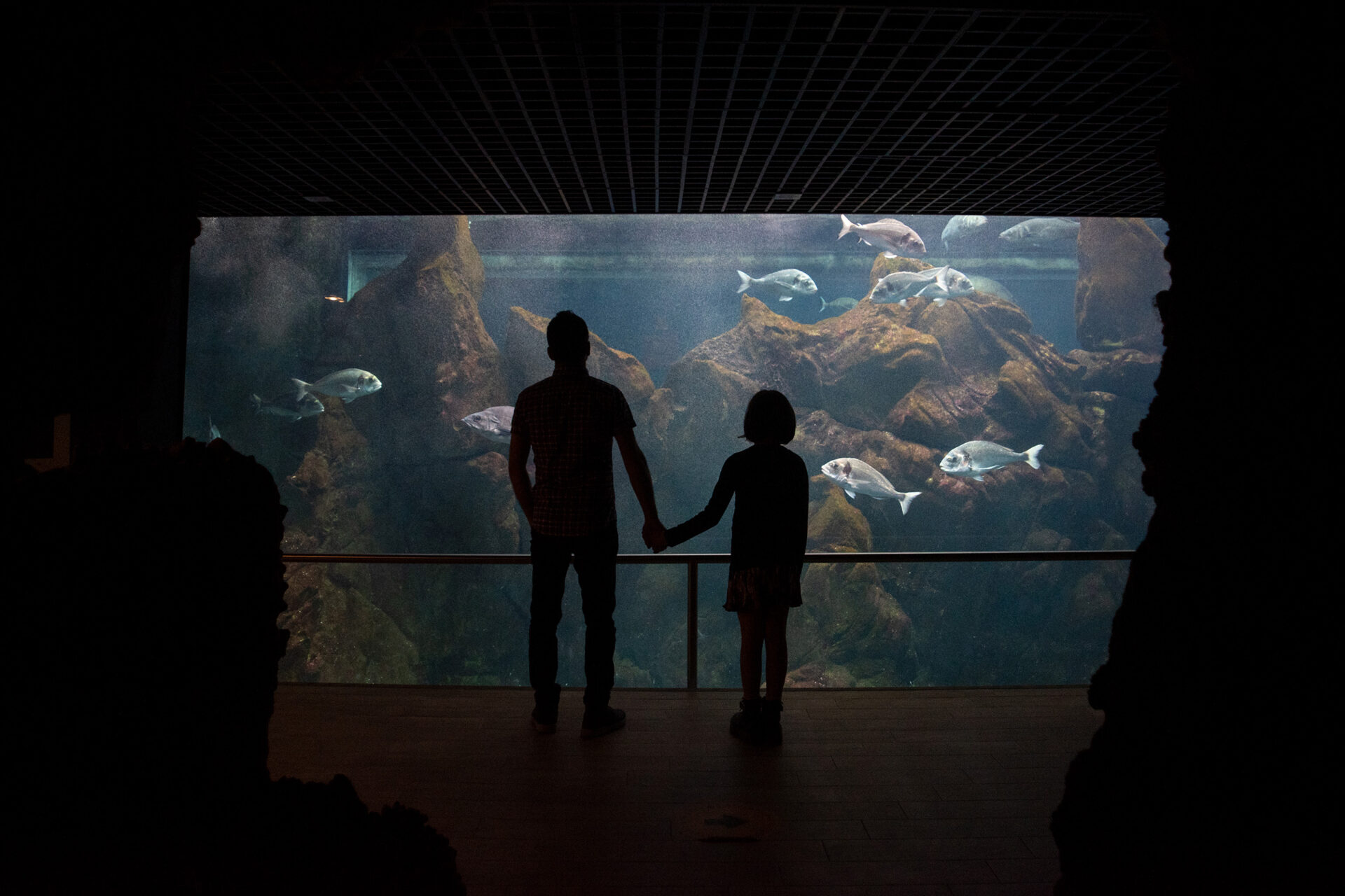 Immerse yourself in Livorno’s Aquarium