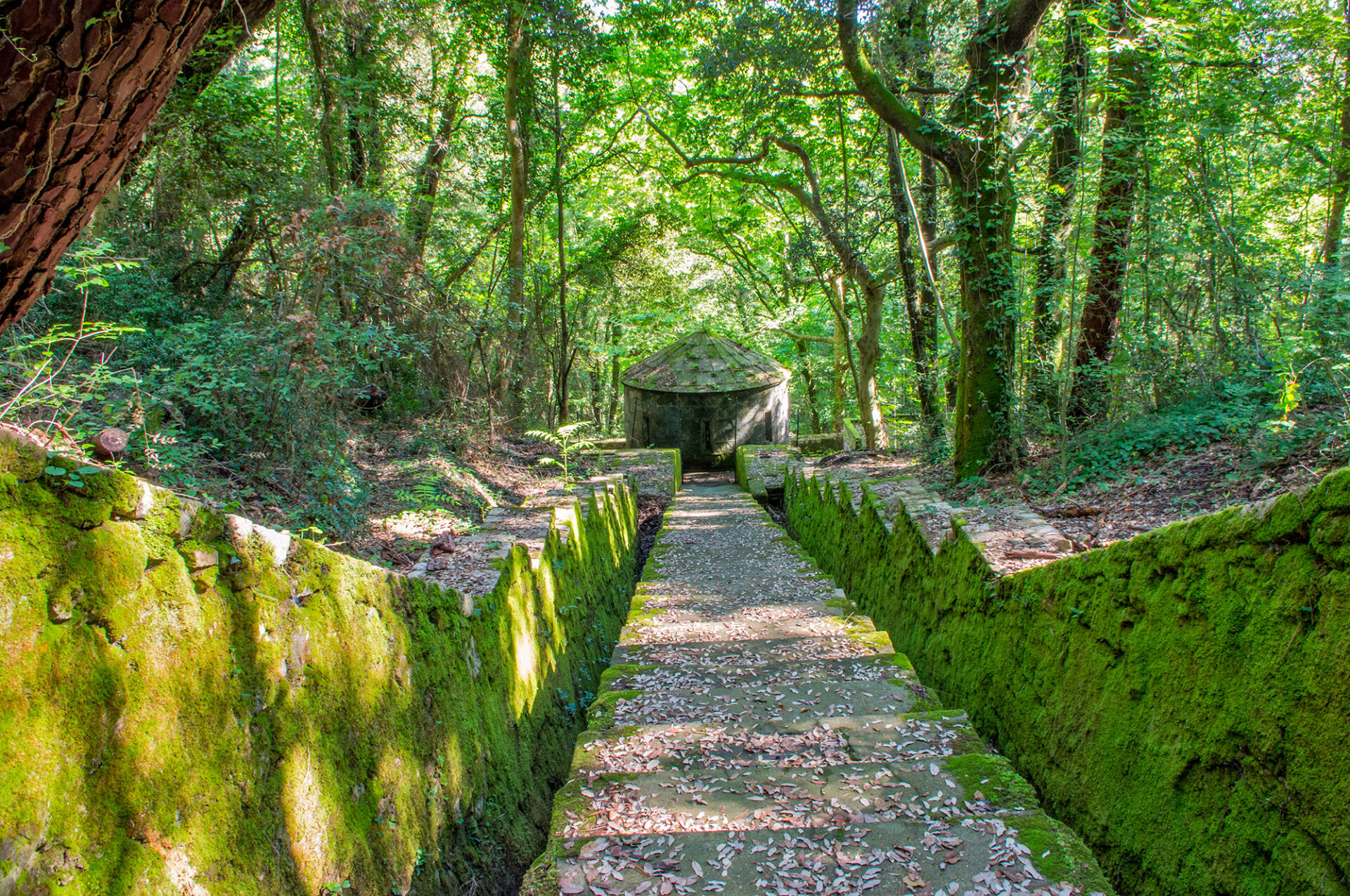 The path of the Leopoldine Aqueduct