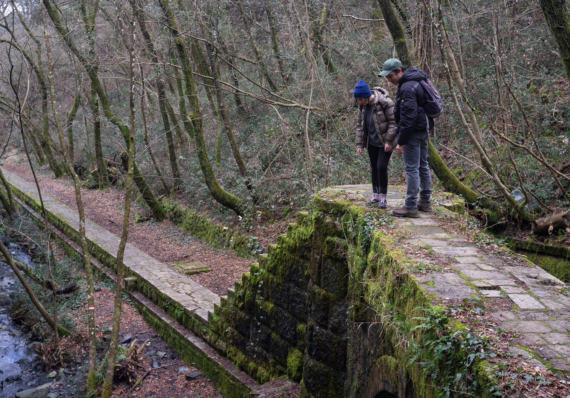 The Leopoldine Aqueduct