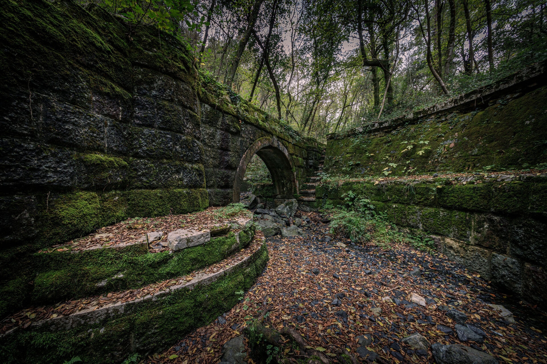 The Leopoldine Aqueduct