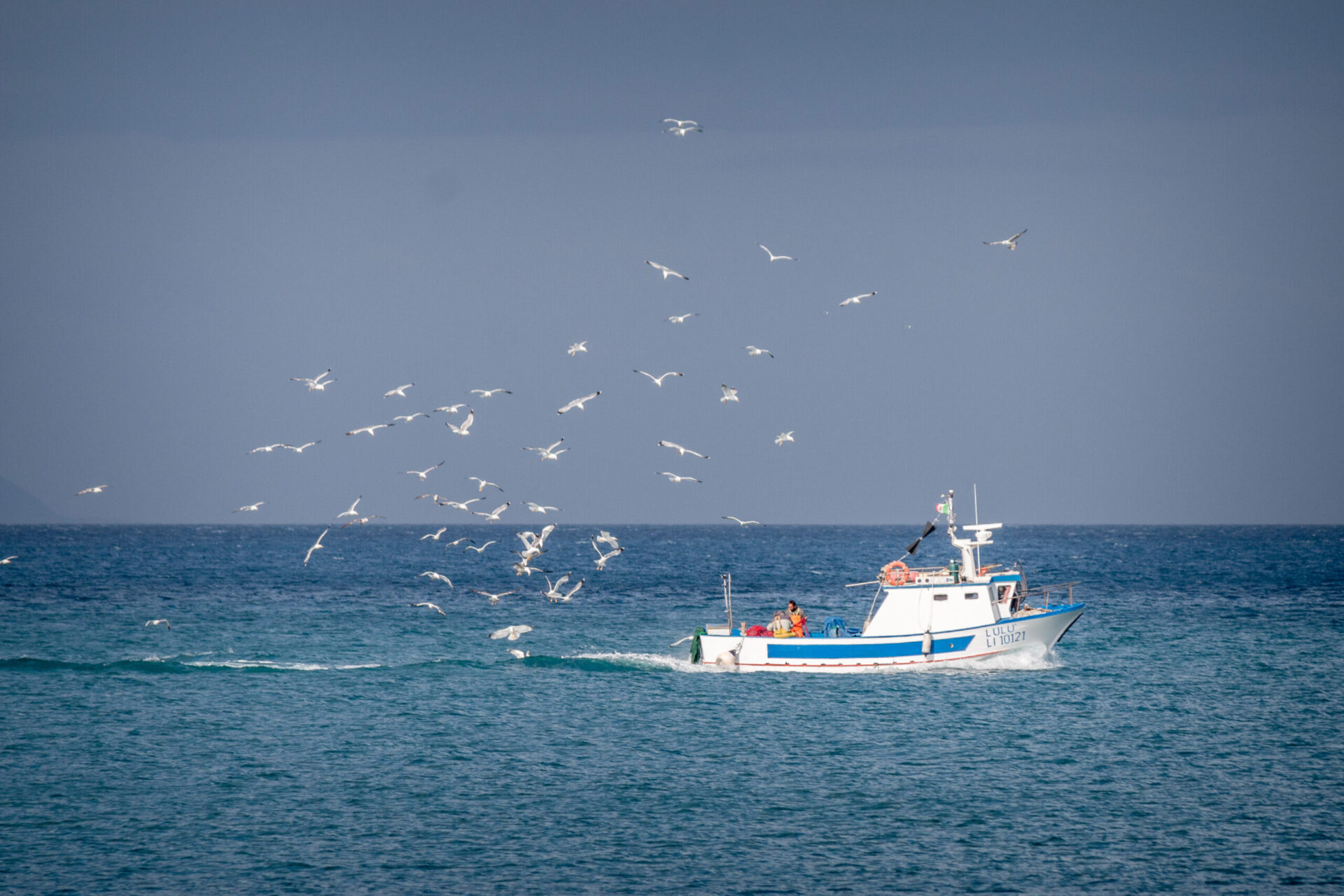 Livorno: un mare di attività per tutti i gusti