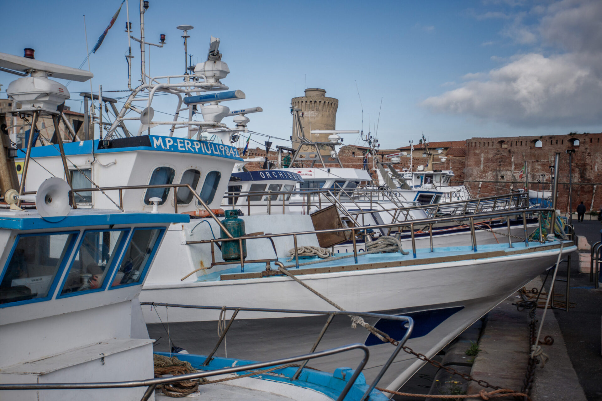 Livorno: un mare di attività per tutti i gusti