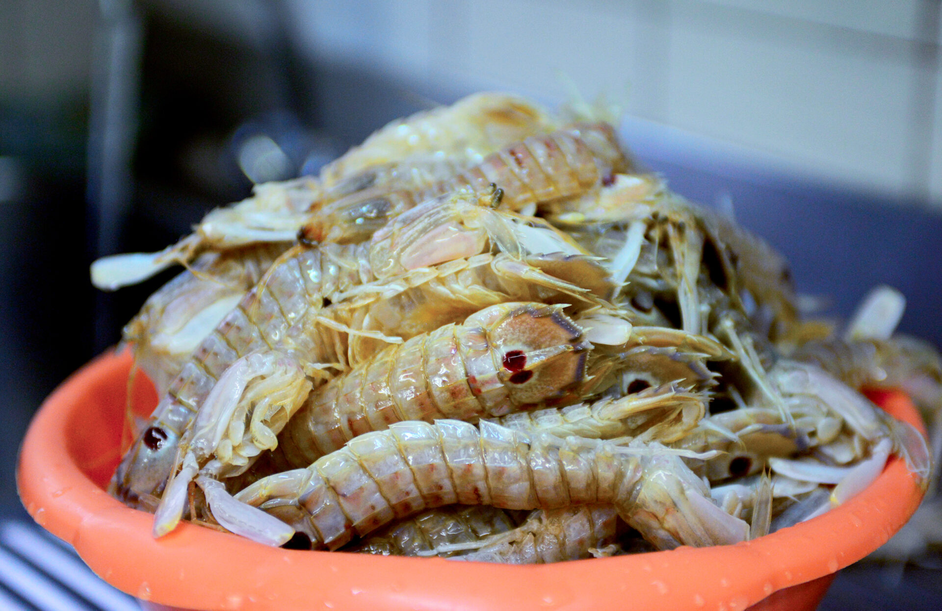 The Cacciucco, Livorno’s prime delicacy