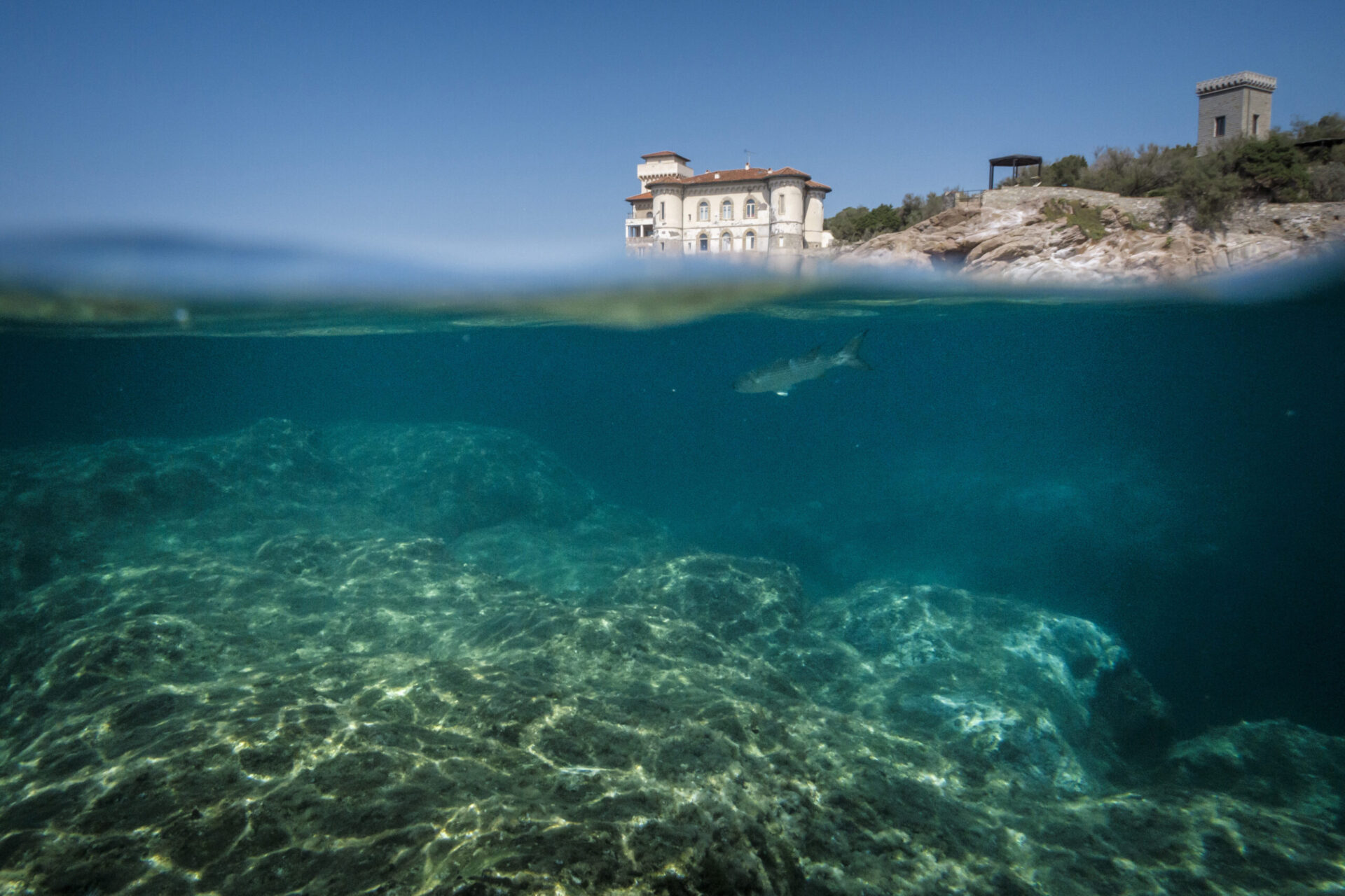 Riserva Naturale di Calafuria