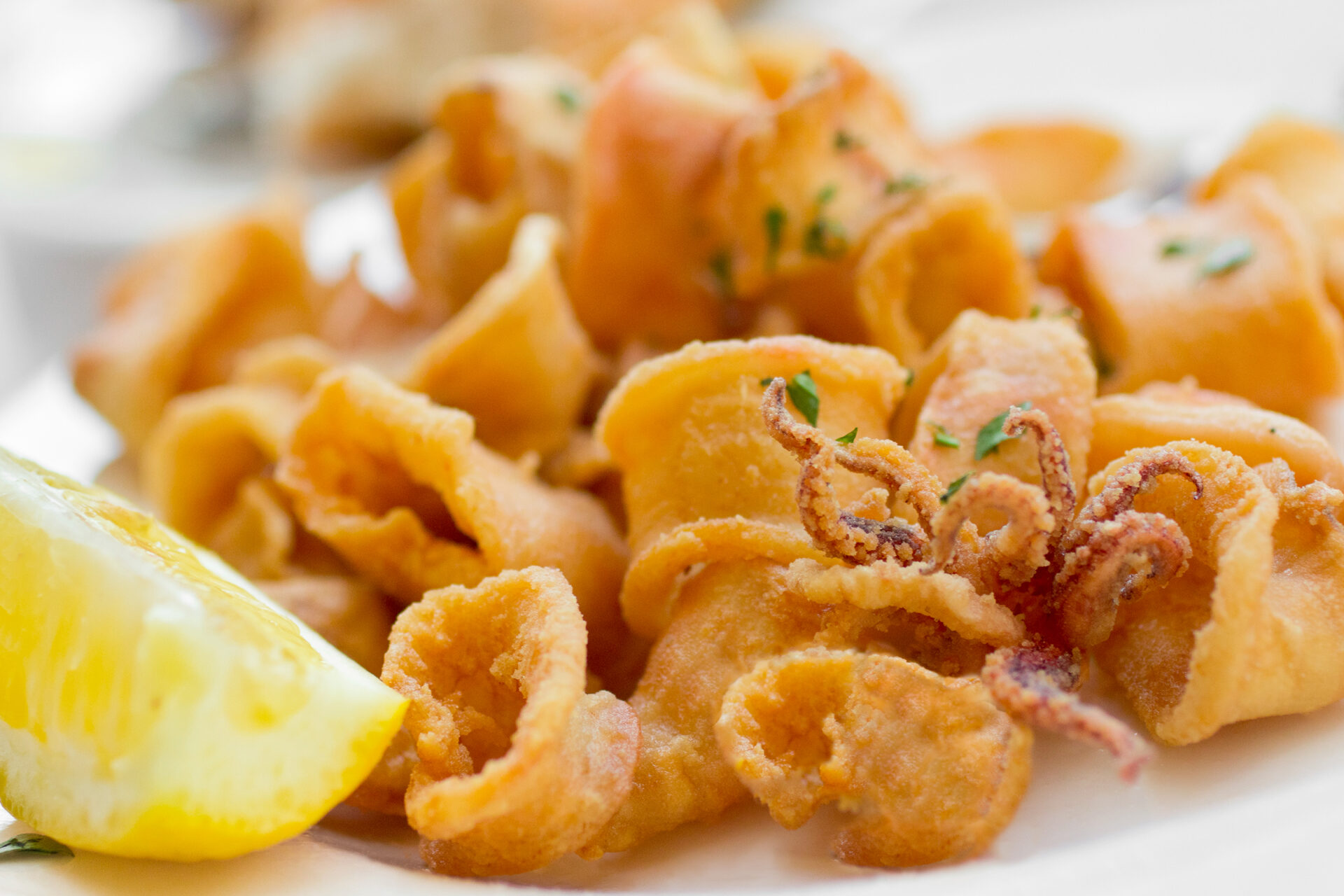 Capraia’s Squid Festival