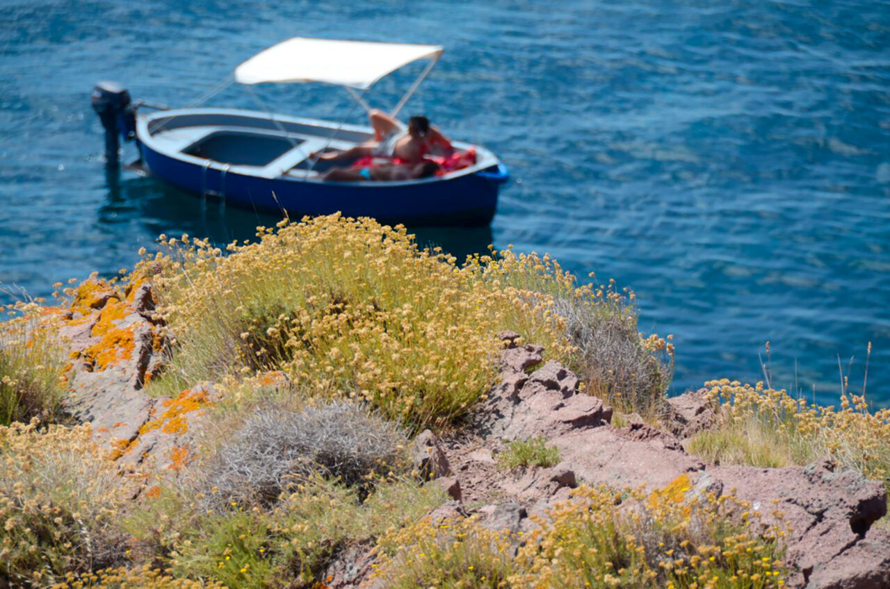 Beaches and coves of Capraia
