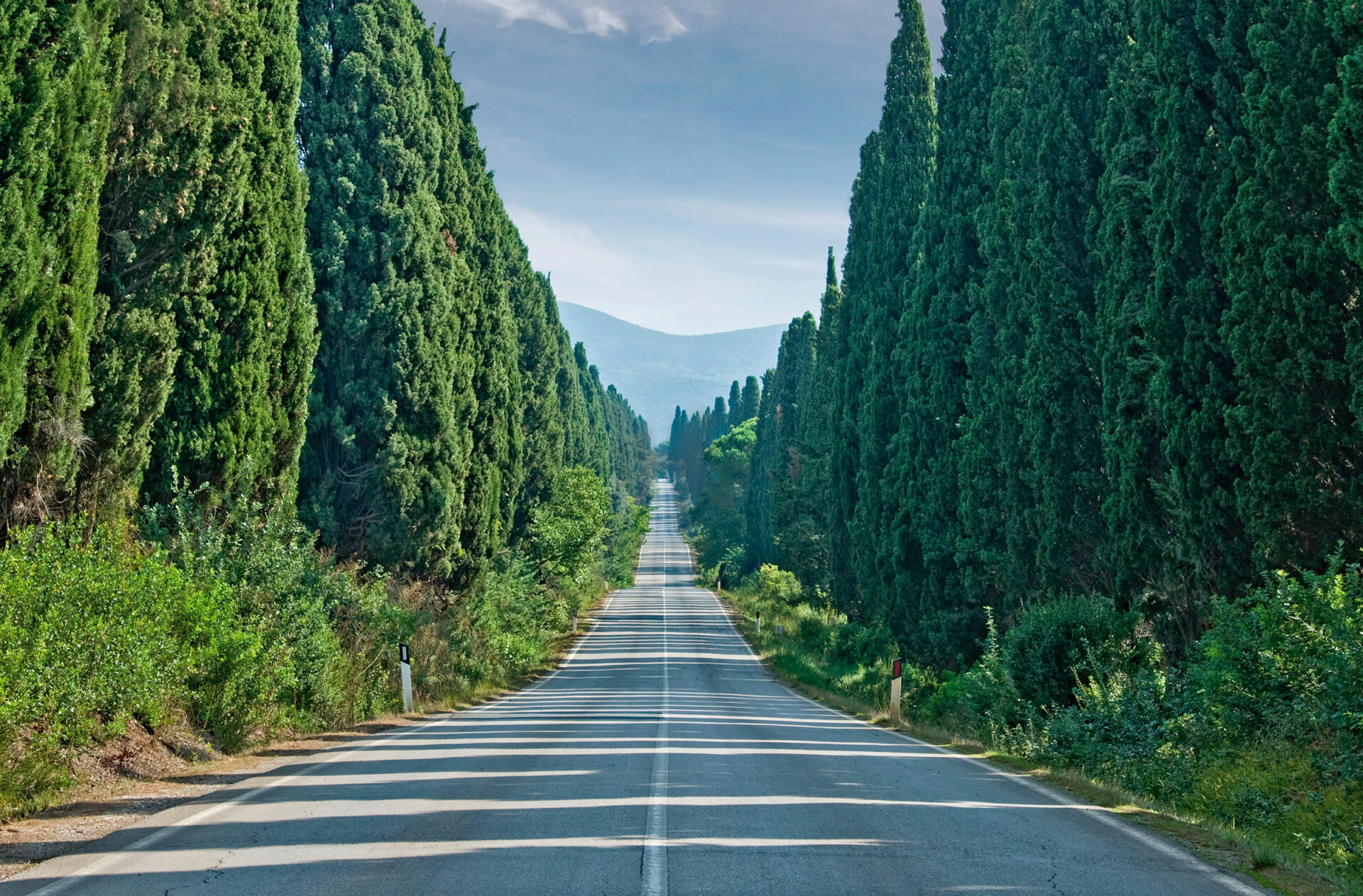 Il sapore della costa livornese in un calice