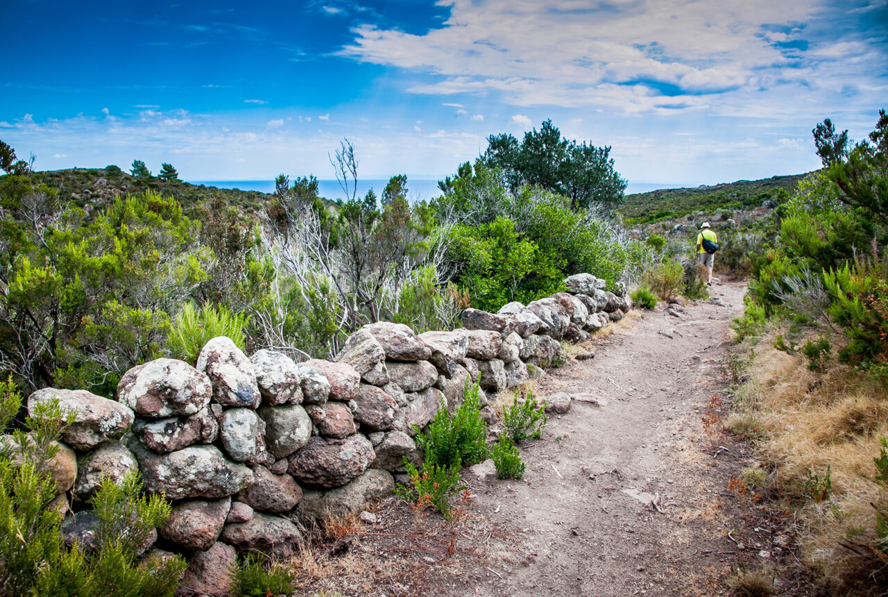 Capraia’s countryside