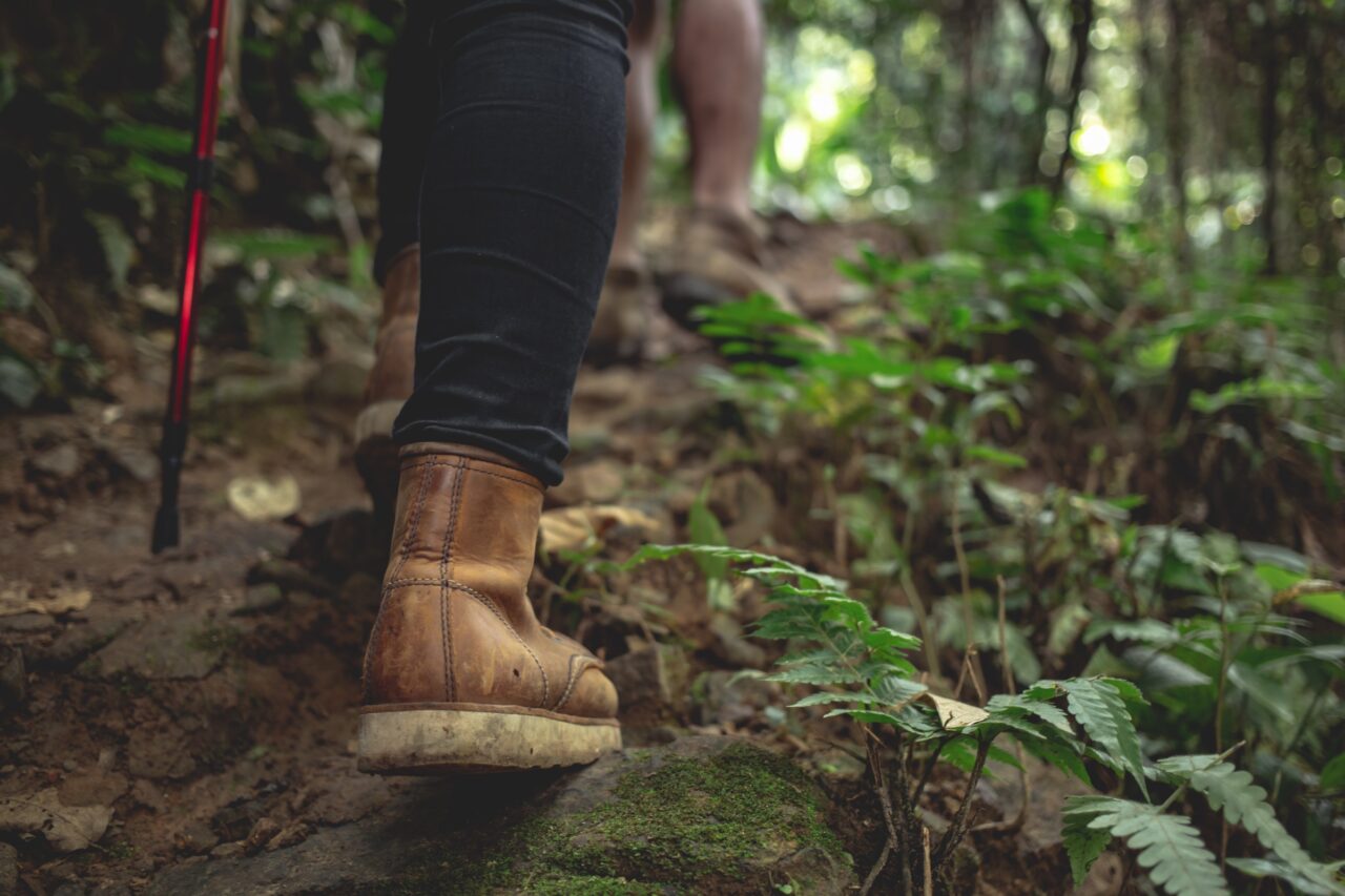 Hike to Monte Pelato