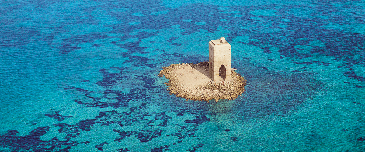 The towers of Livorno and Capraia