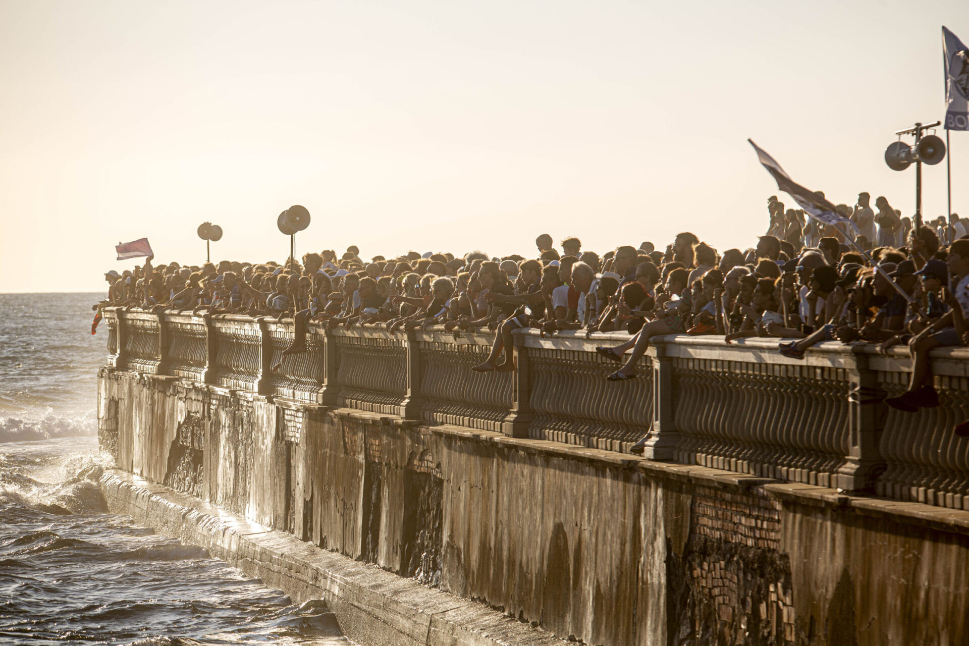 The thrill of the Livorno Rowing Races