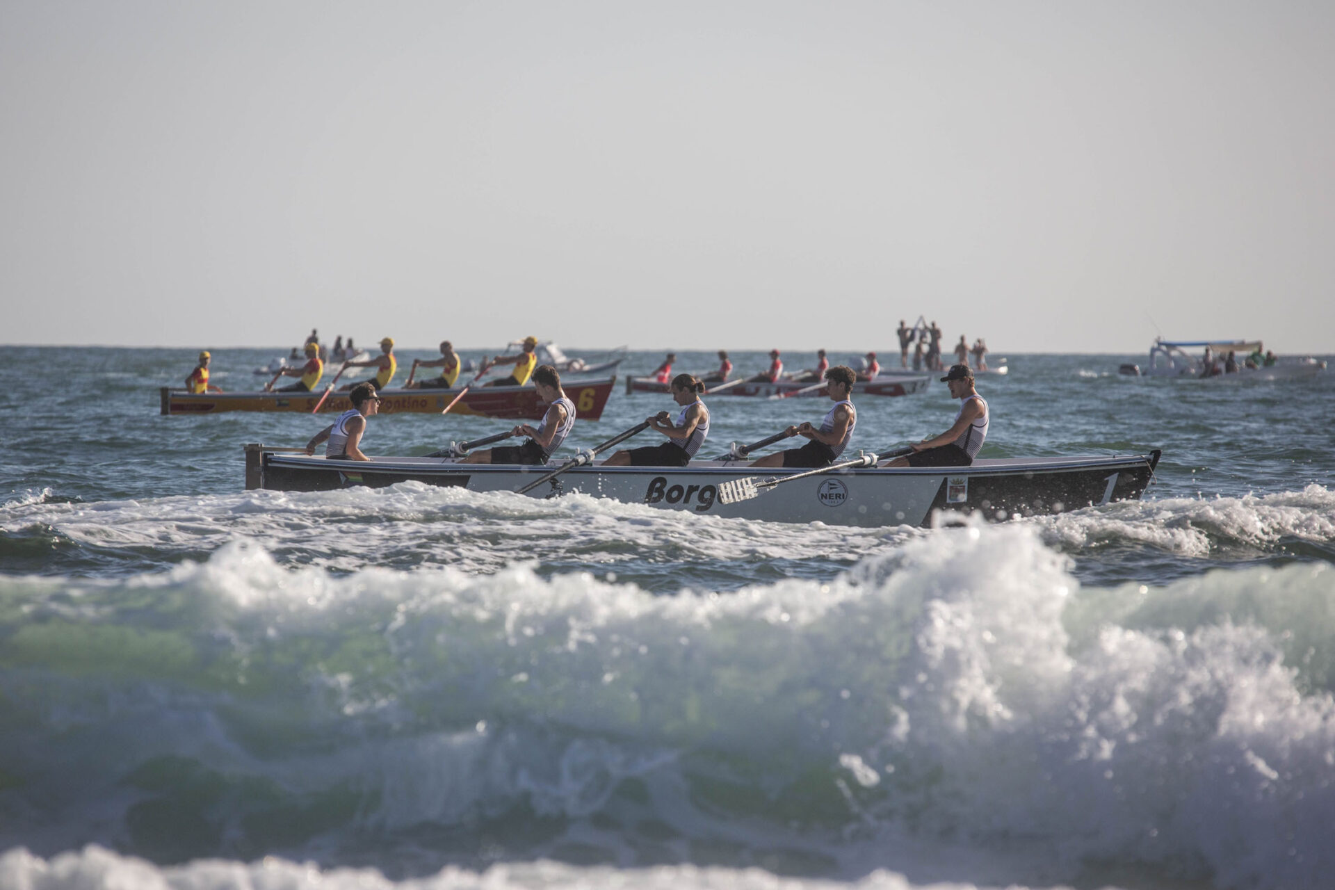 The thrill of the Livorno Rowing Races