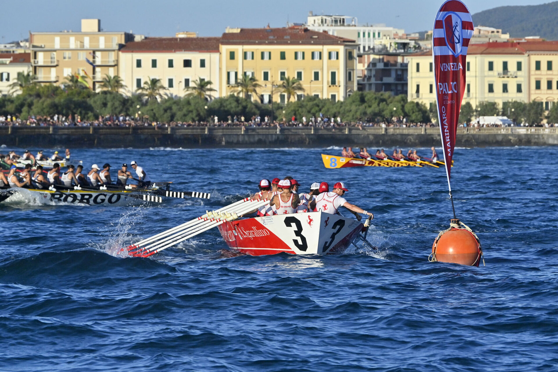 The thrill of the Livorno Rowing Races