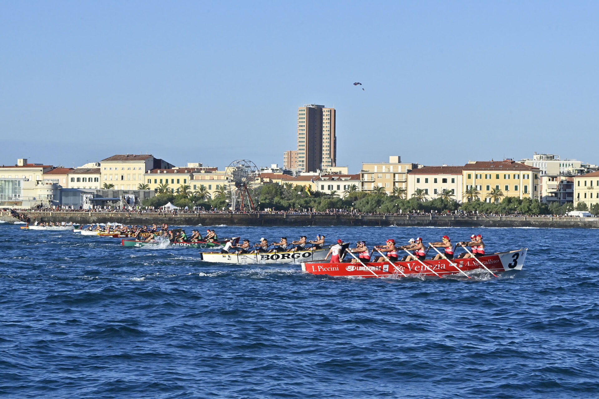 The thrill of the Livorno Rowing Races