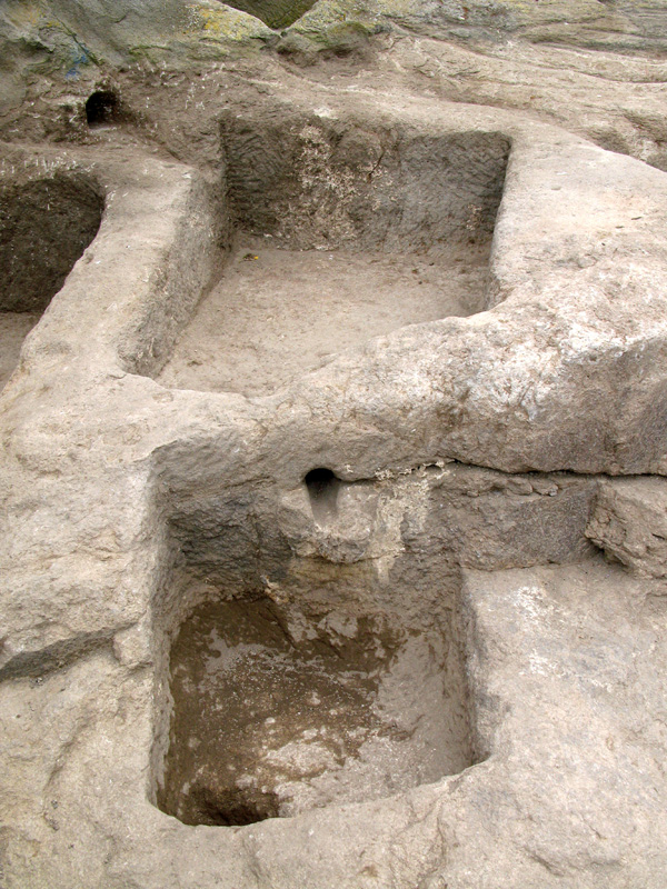The secrets of Capraia’s Palmenti
