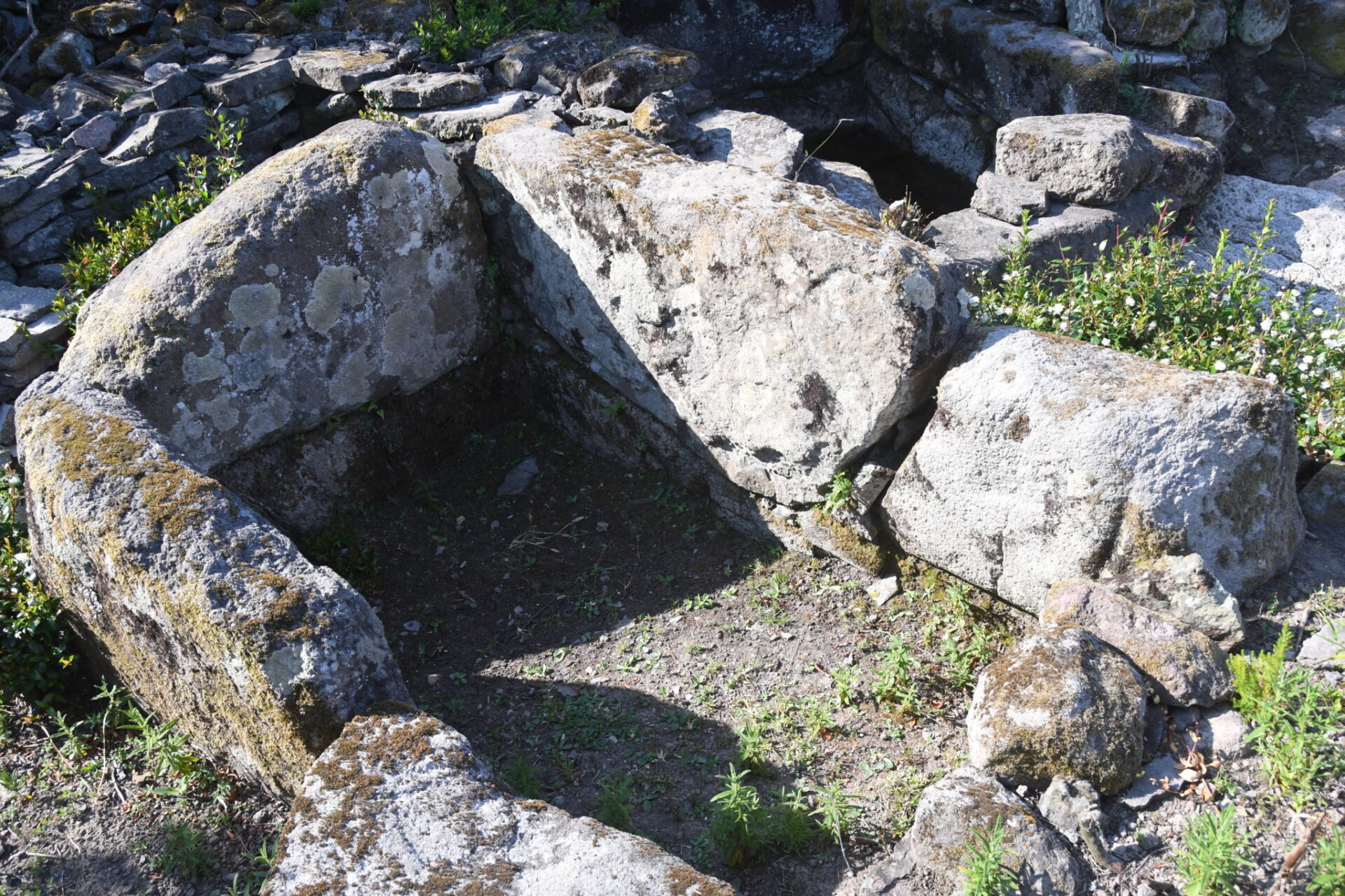 The secrets of Capraia’s Palmenti