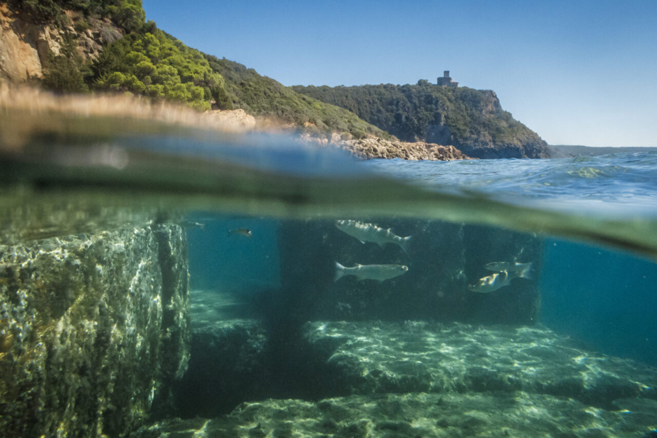 Riserva Naturale di Calafuria
