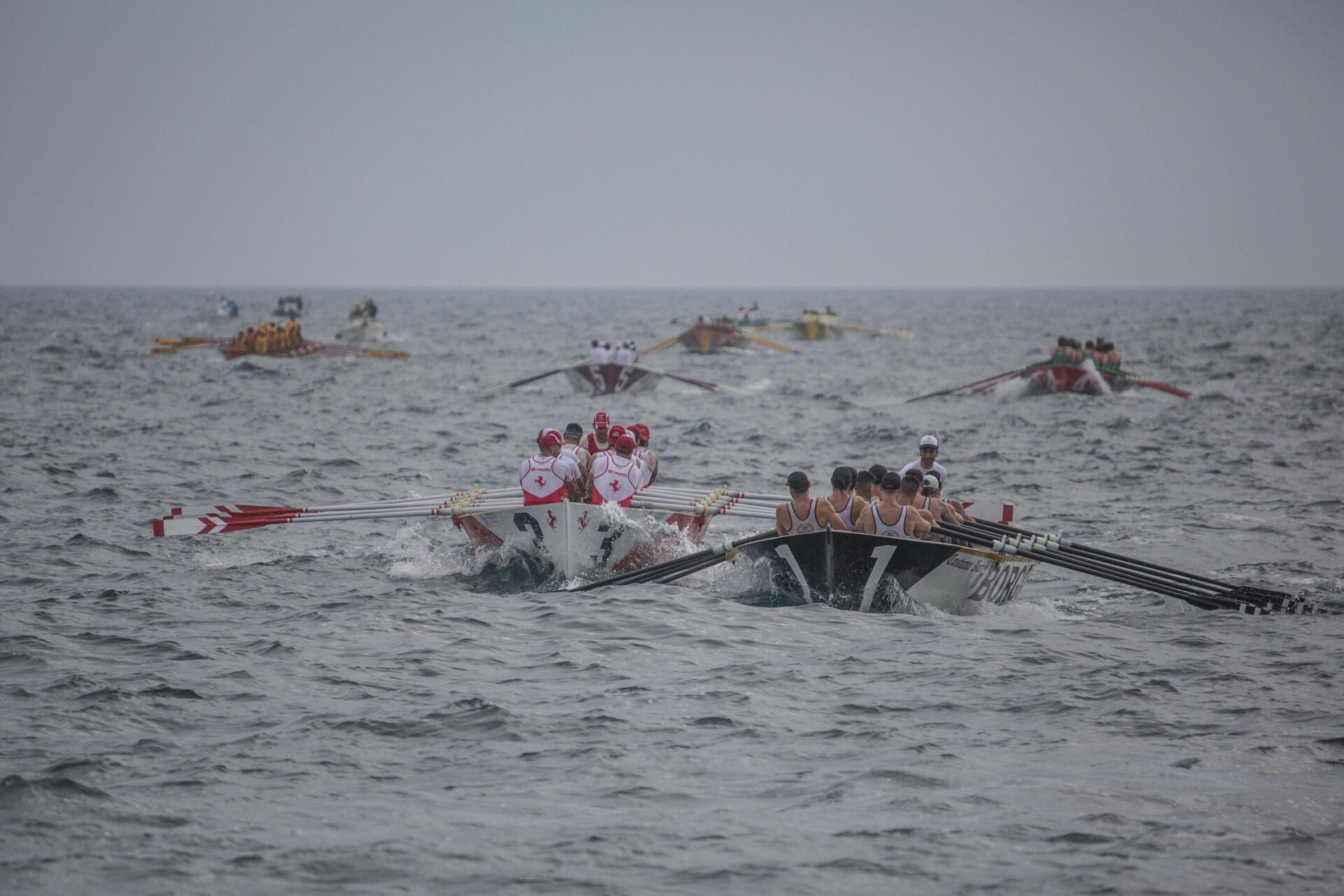 The thrill of the Livorno Rowing Races