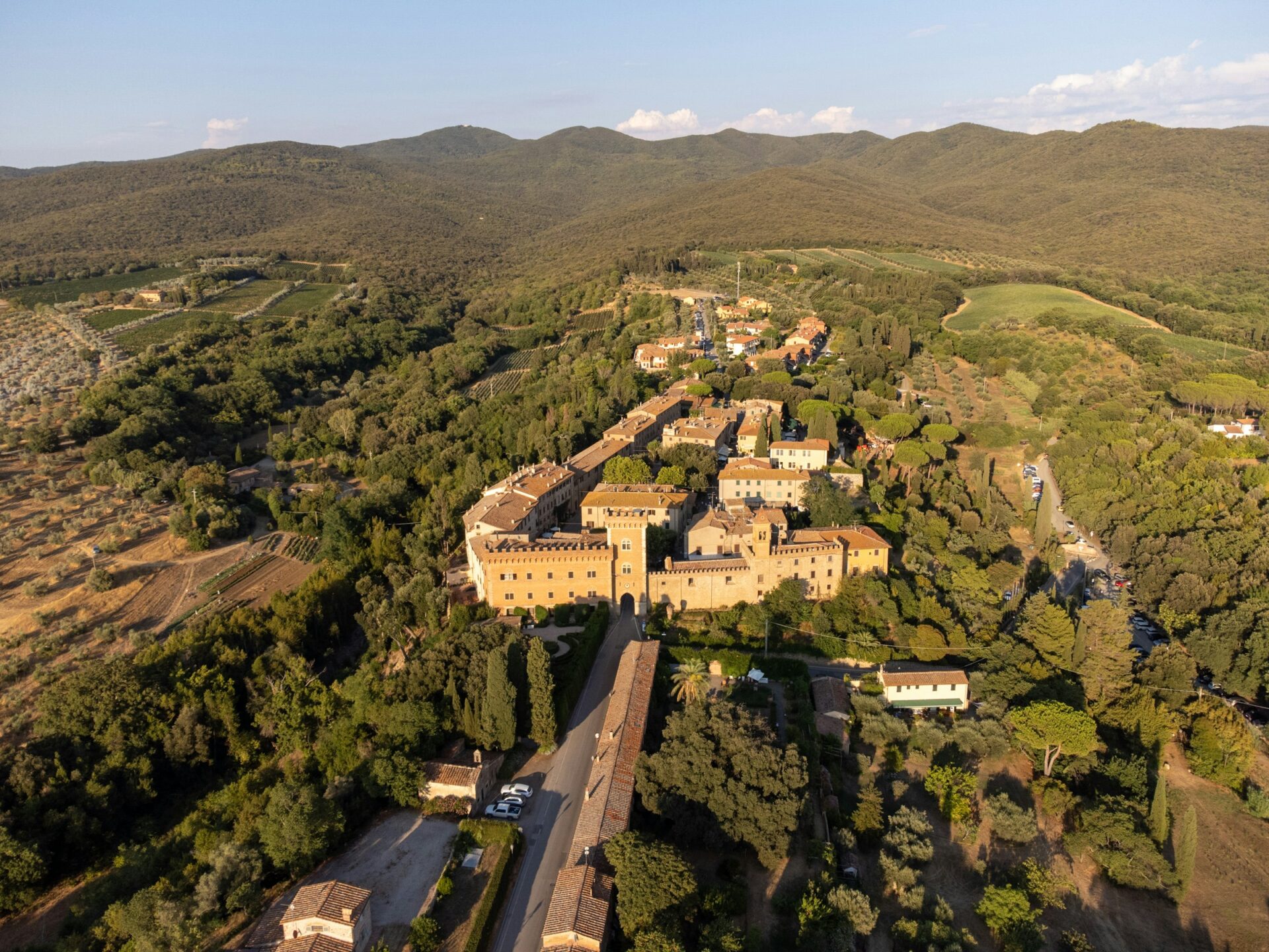 Il sapore della costa livornese in un calice