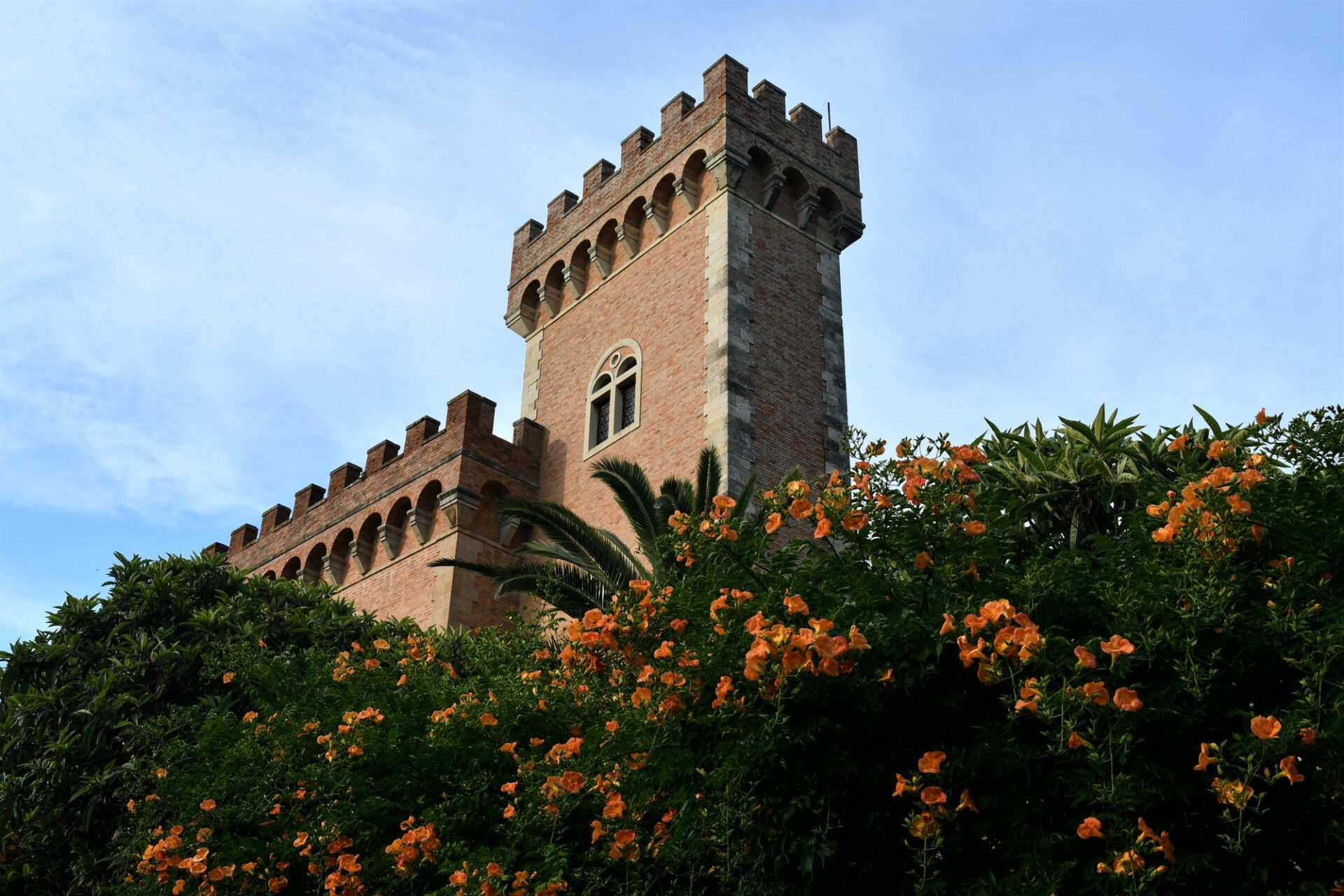 Il sapore della costa livornese in un calice