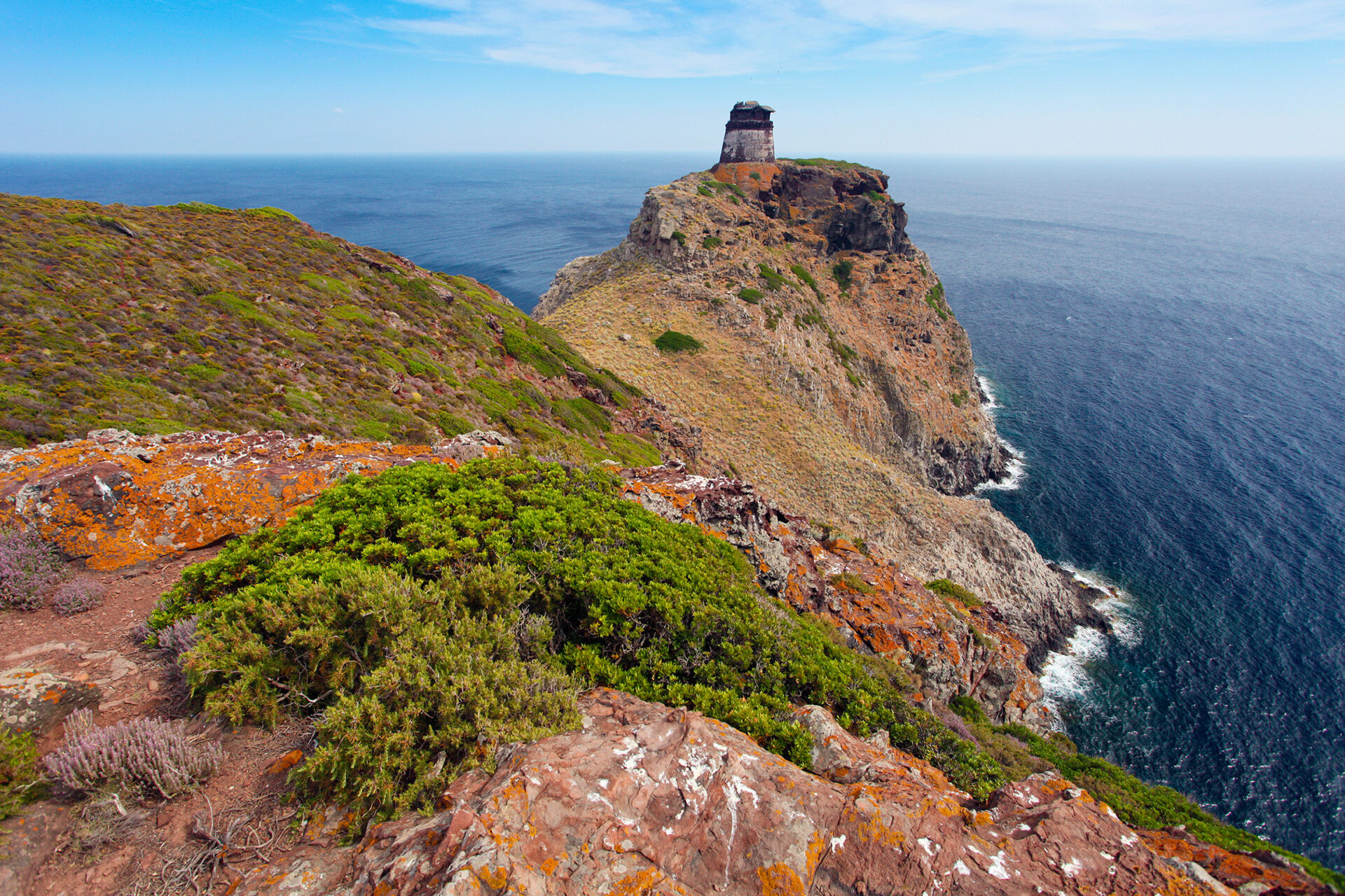 The towers of Livorno and Capraia