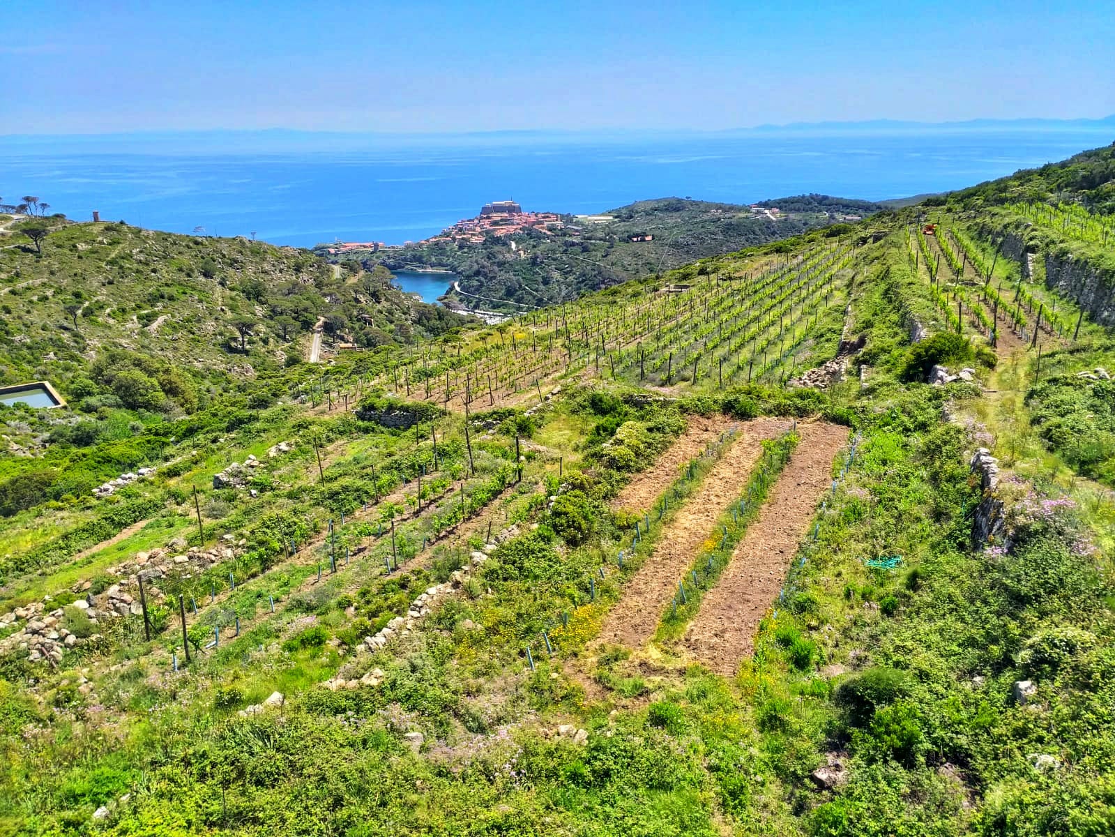 L’entroterra di Capraia