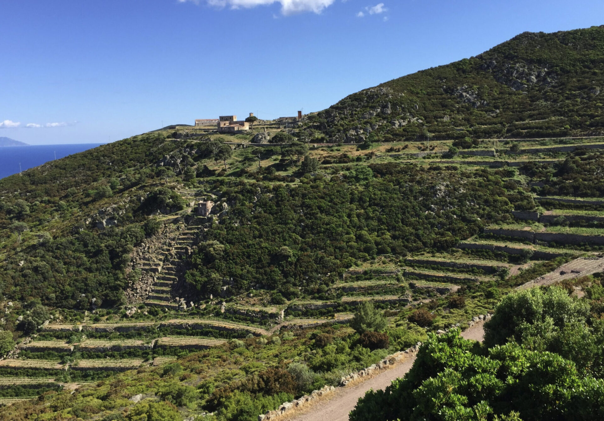 I vini e le birre di Capraia