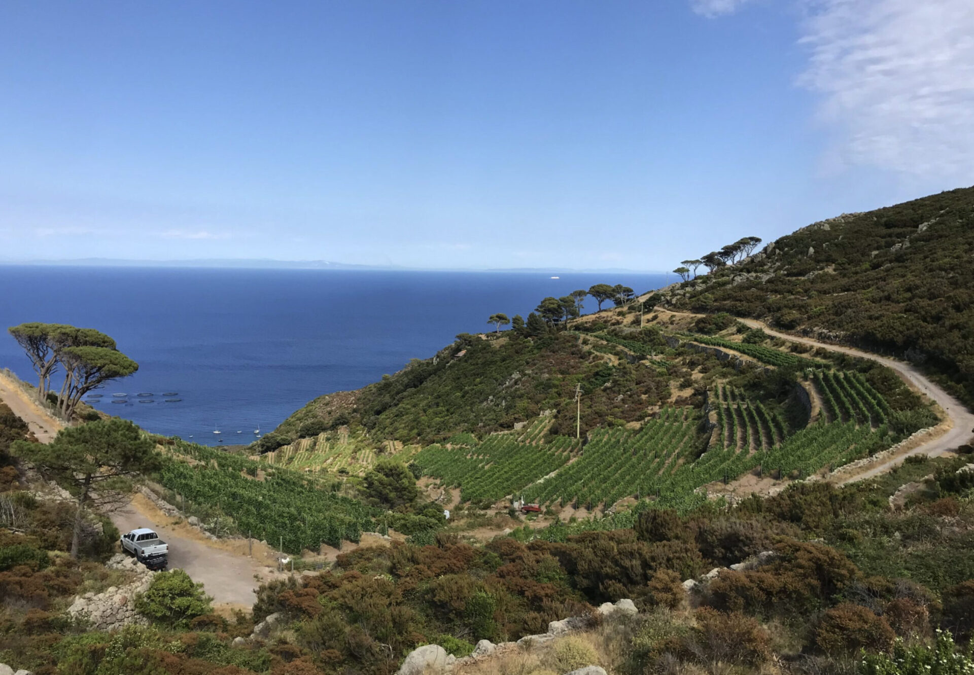 I vini e le birre di Capraia