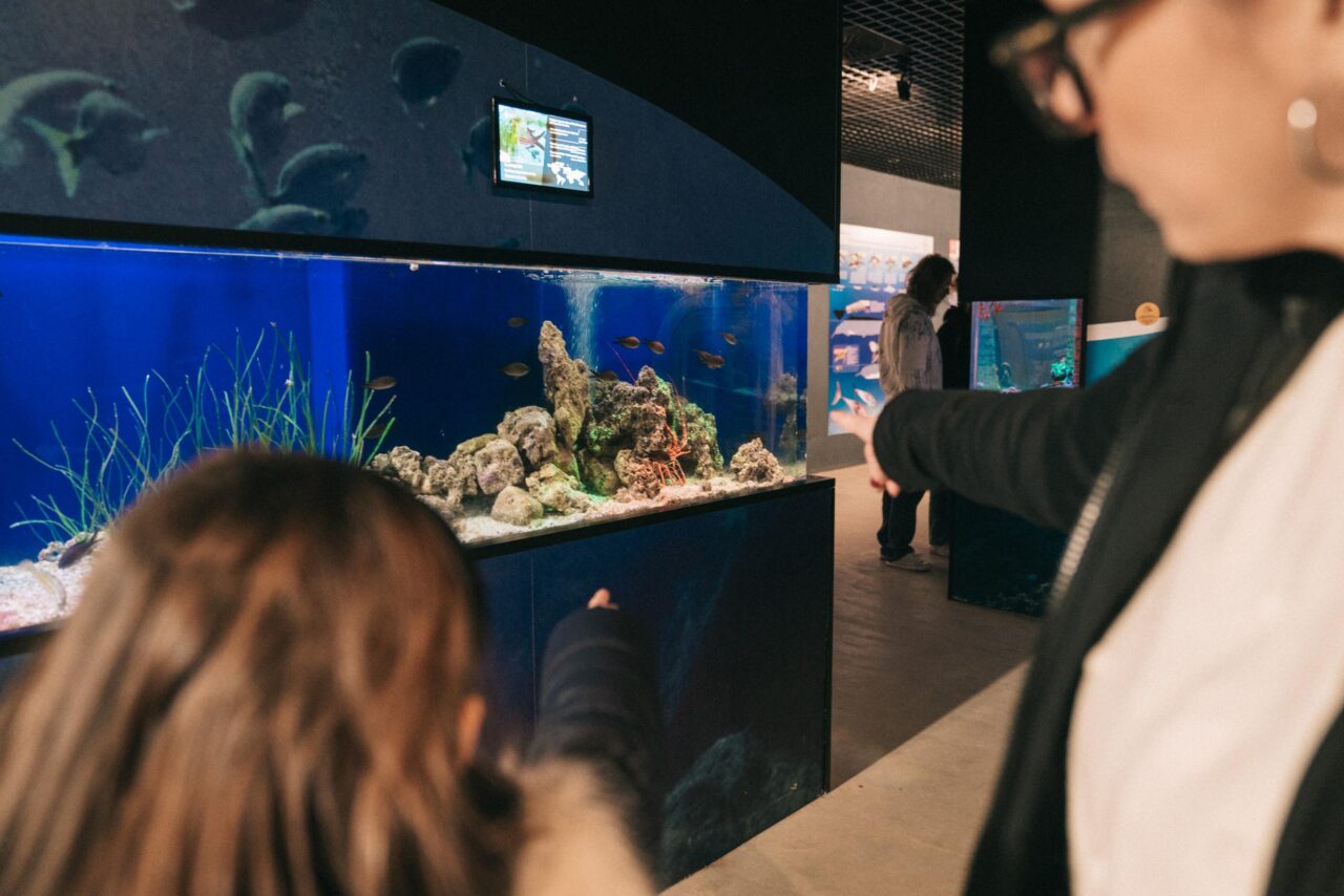 Acquario di Livorno, speech sul percorso