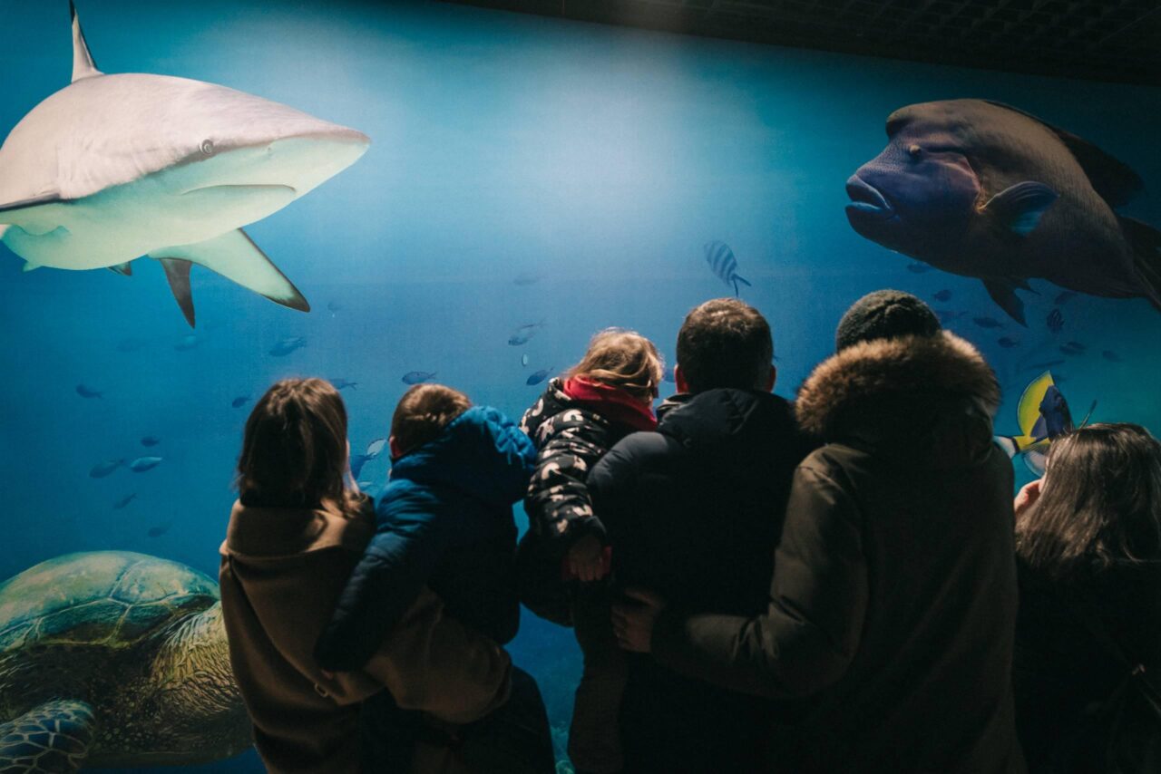 Acquario di Livorno, speech sul percorso