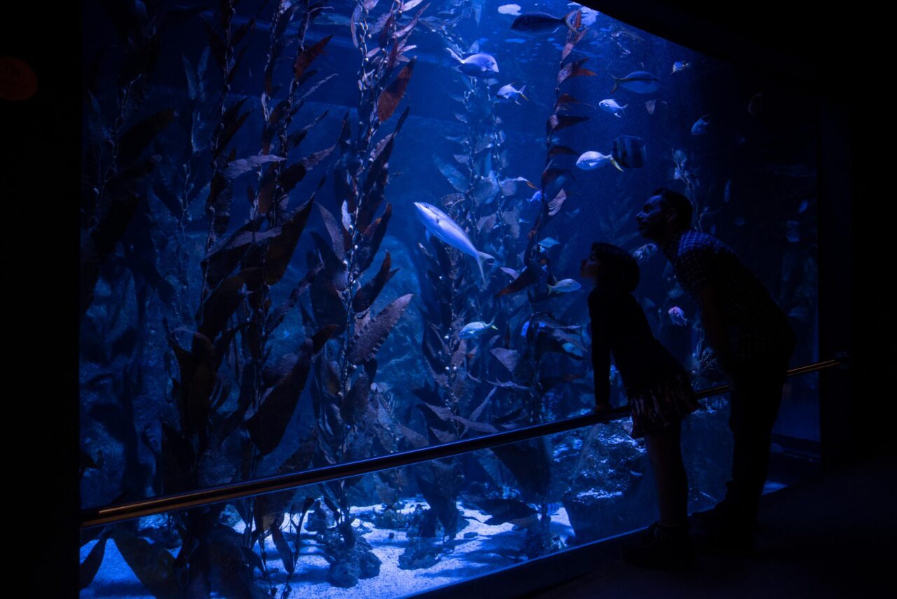 Entrance to the Livorno aquarium
