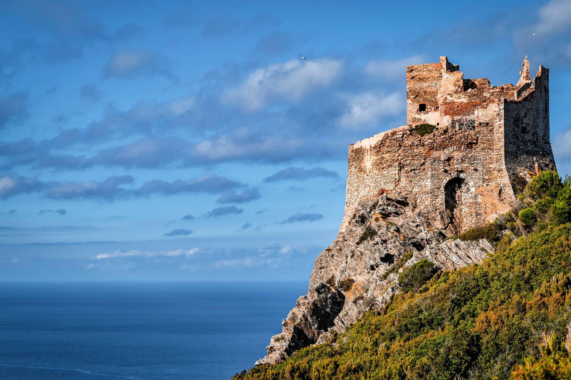 Livorno in alto mare