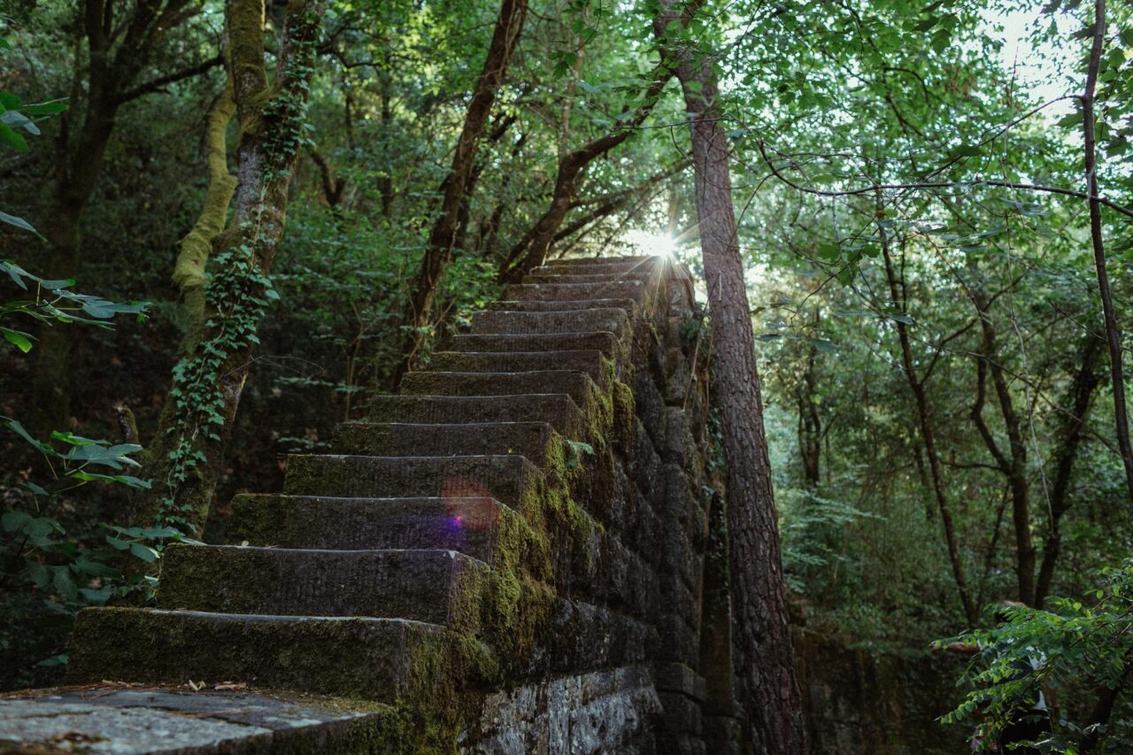 Trekking alle sorgenti della città